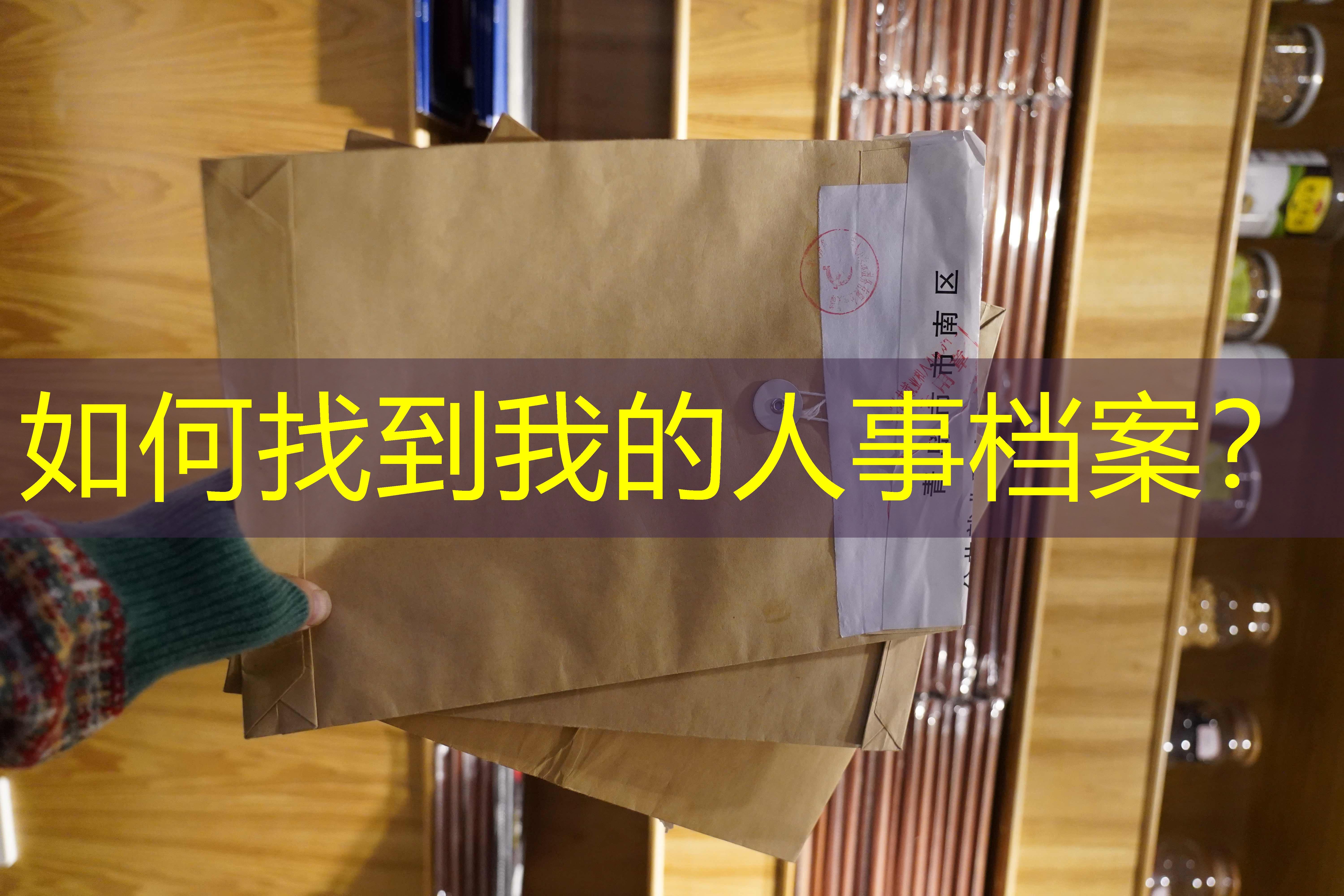 档案查询