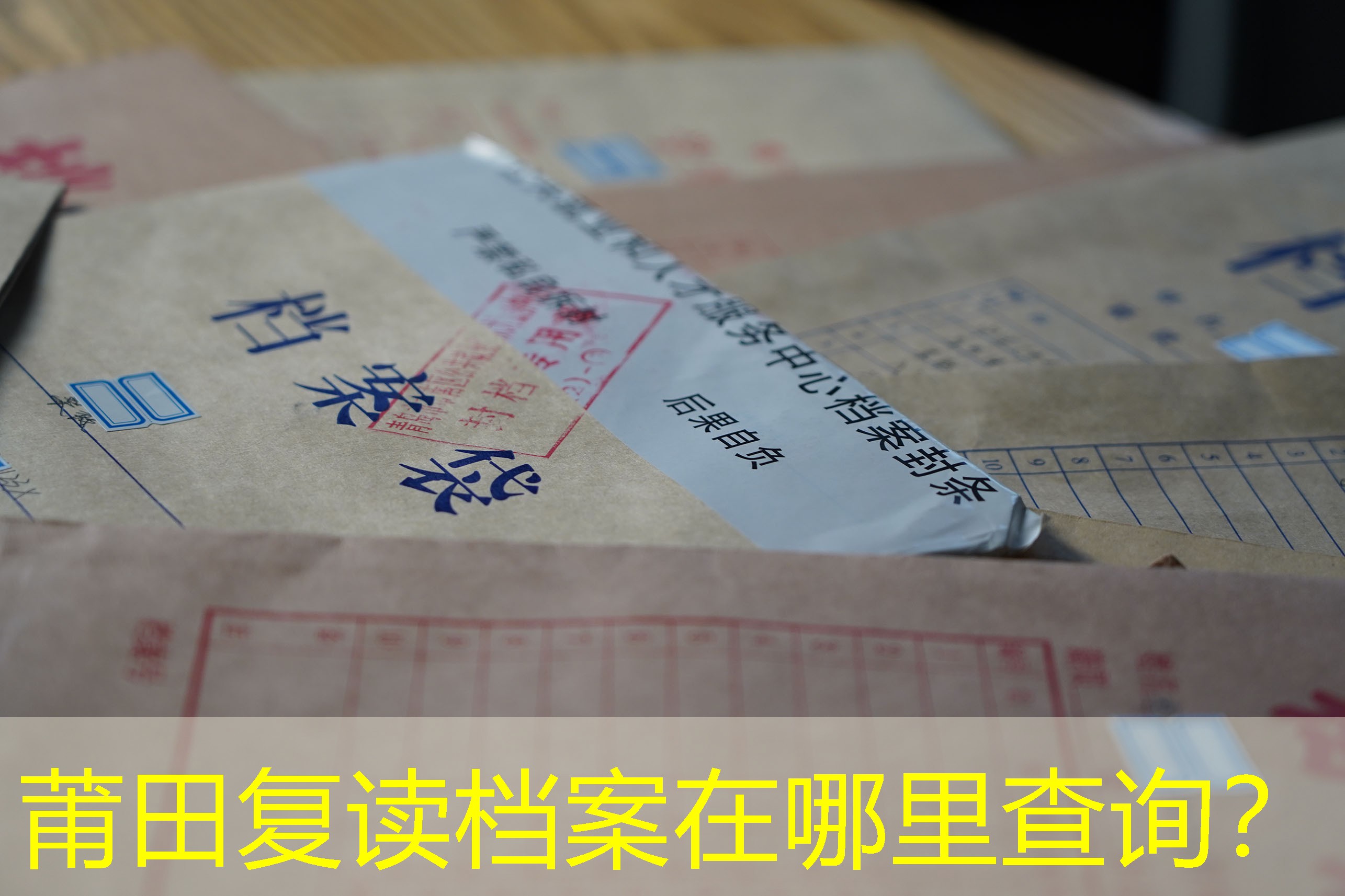 档案查询