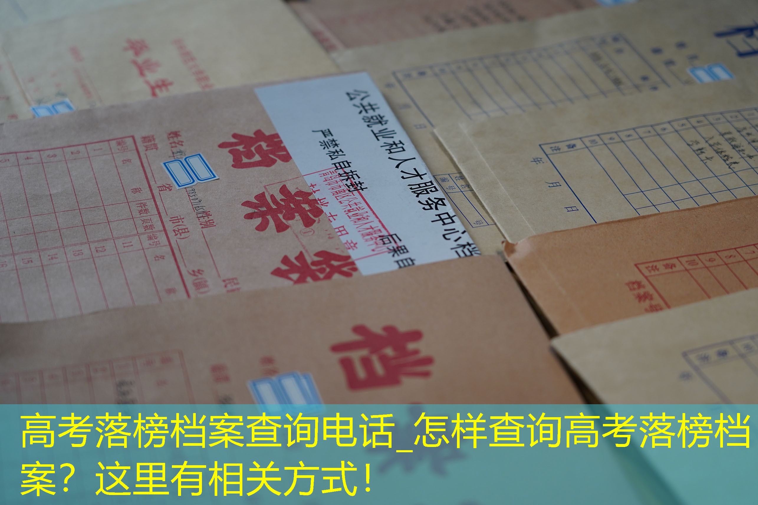 档案查询