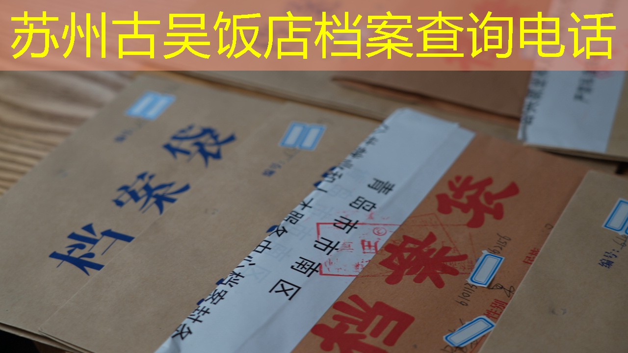档案查询