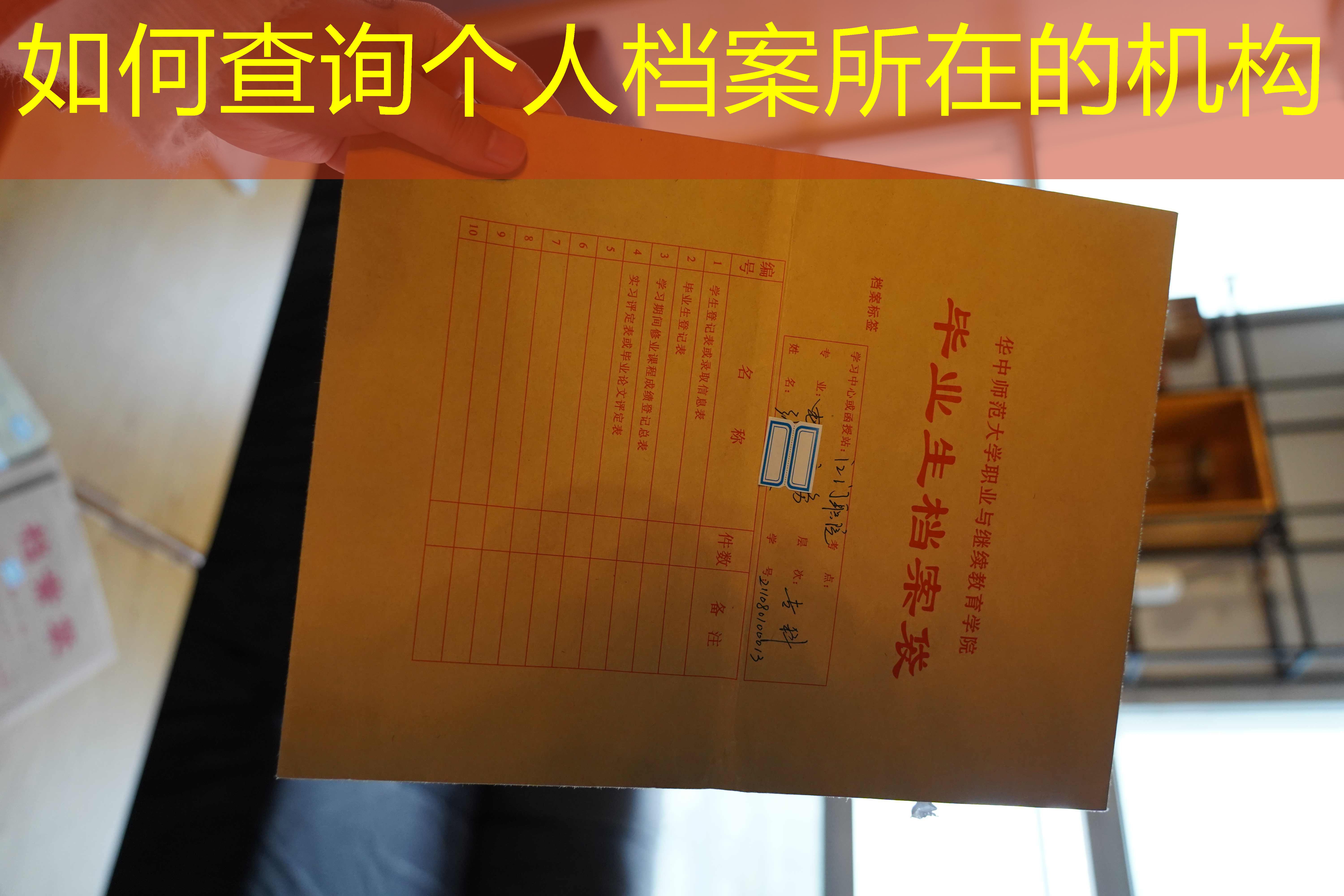 档案查询