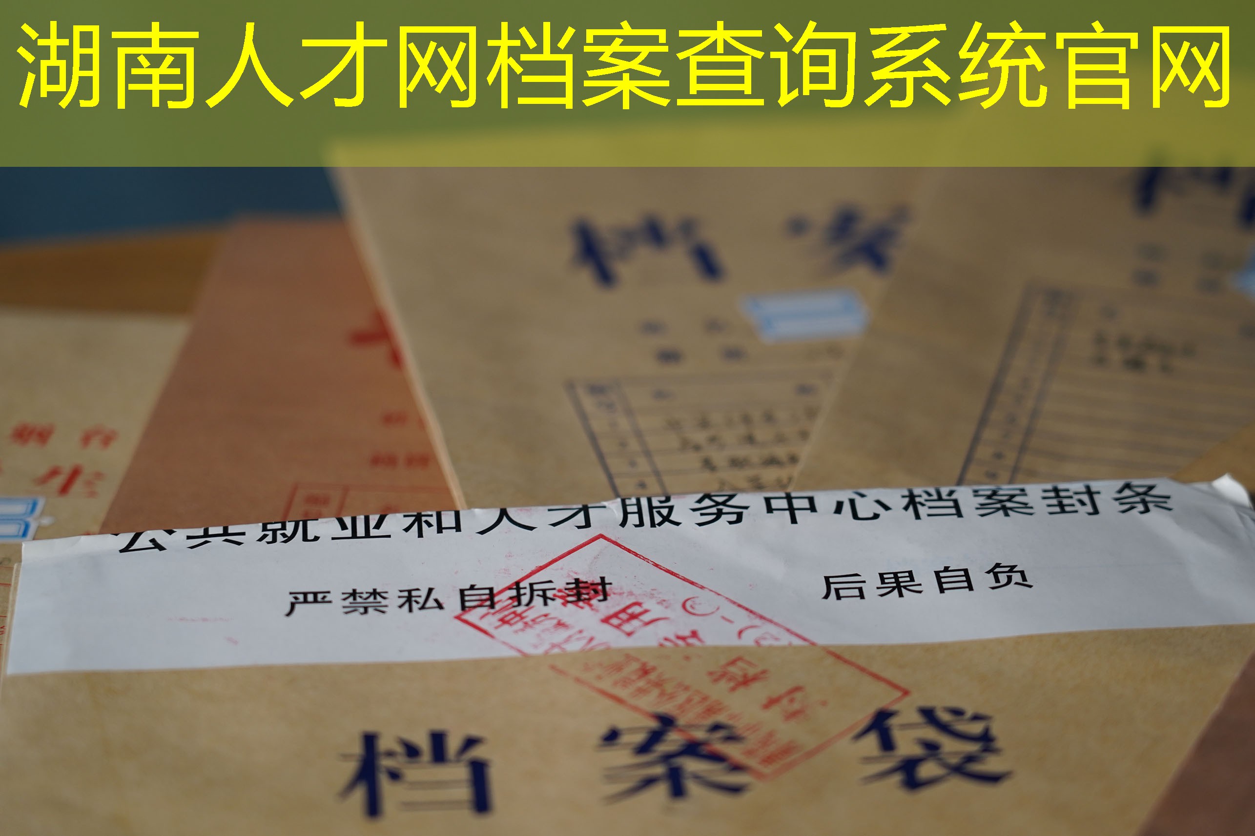 档案查询