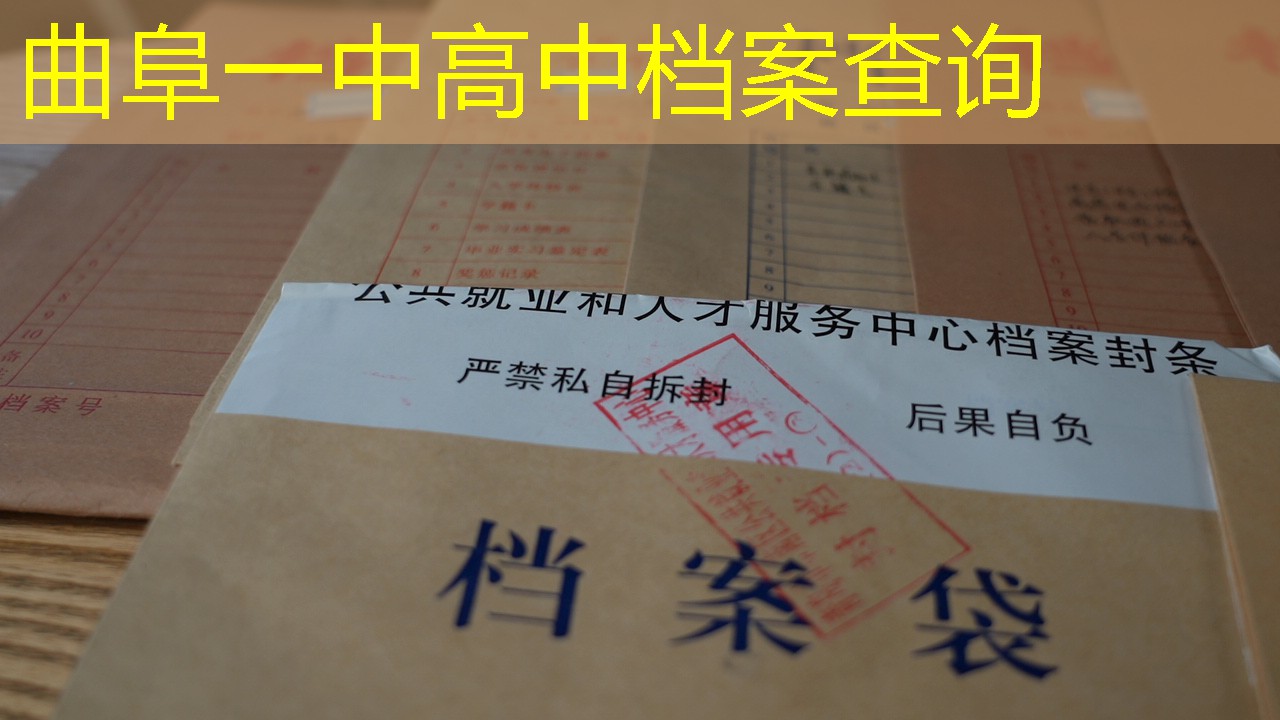 档案查询
