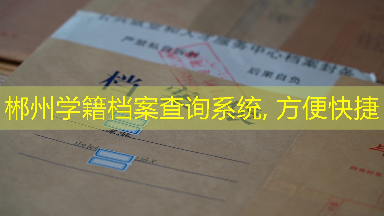 档案查询