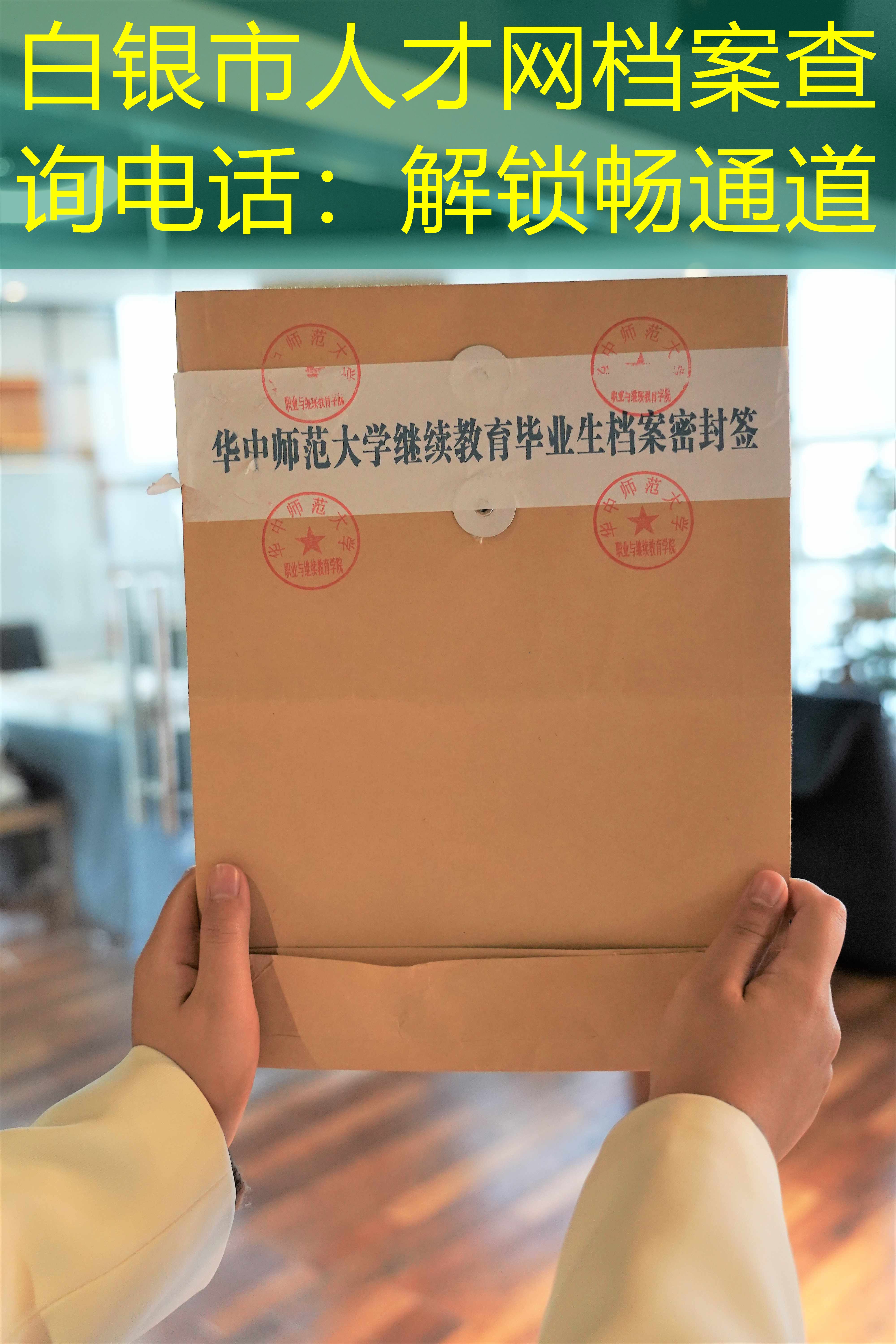 档案查询