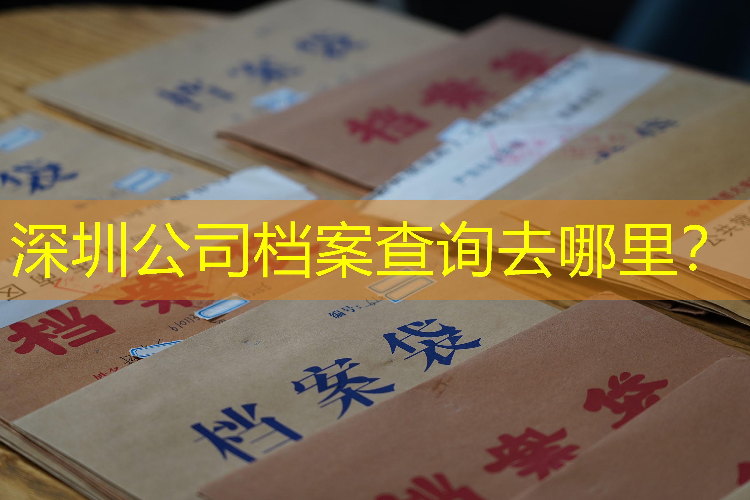 档案查询