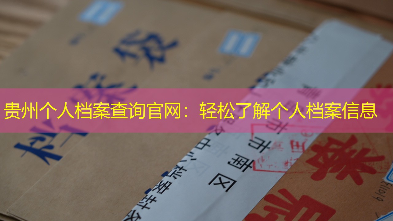 档案查询