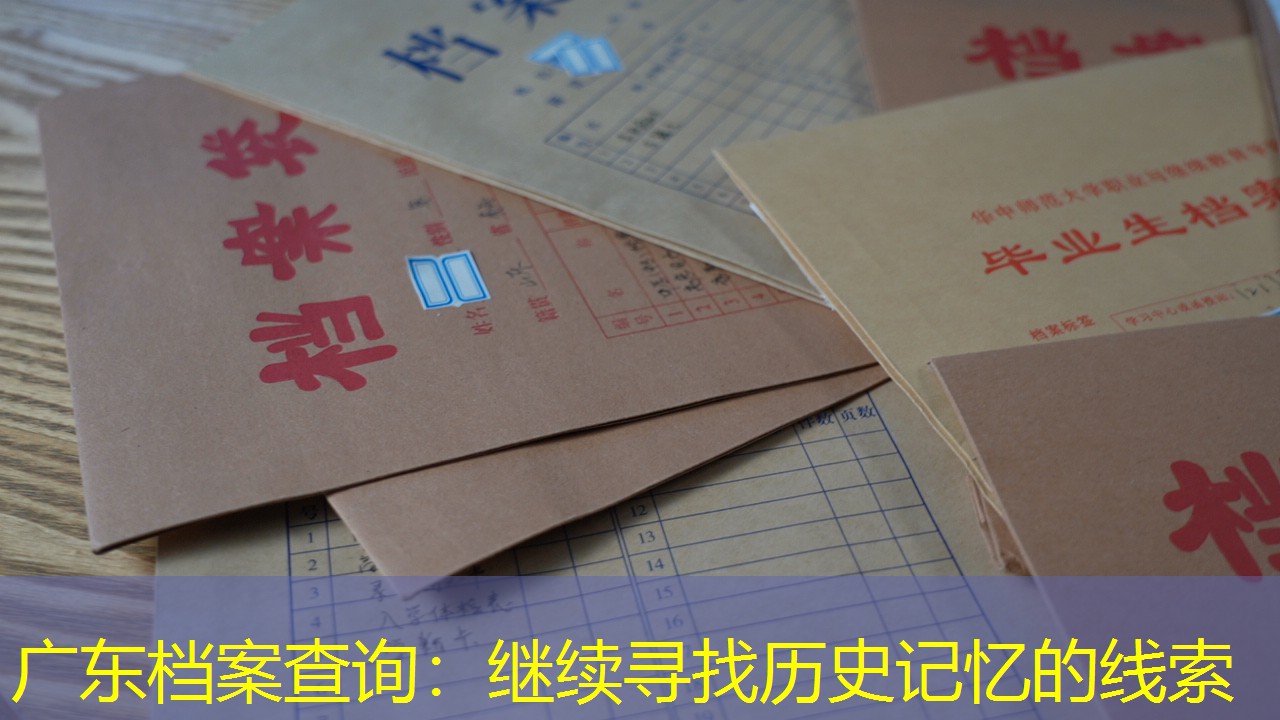 档案查询