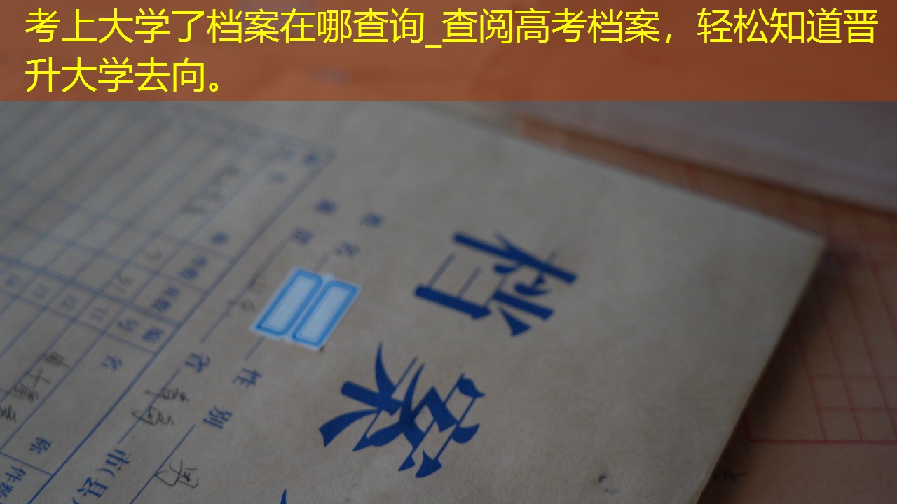 档案查询