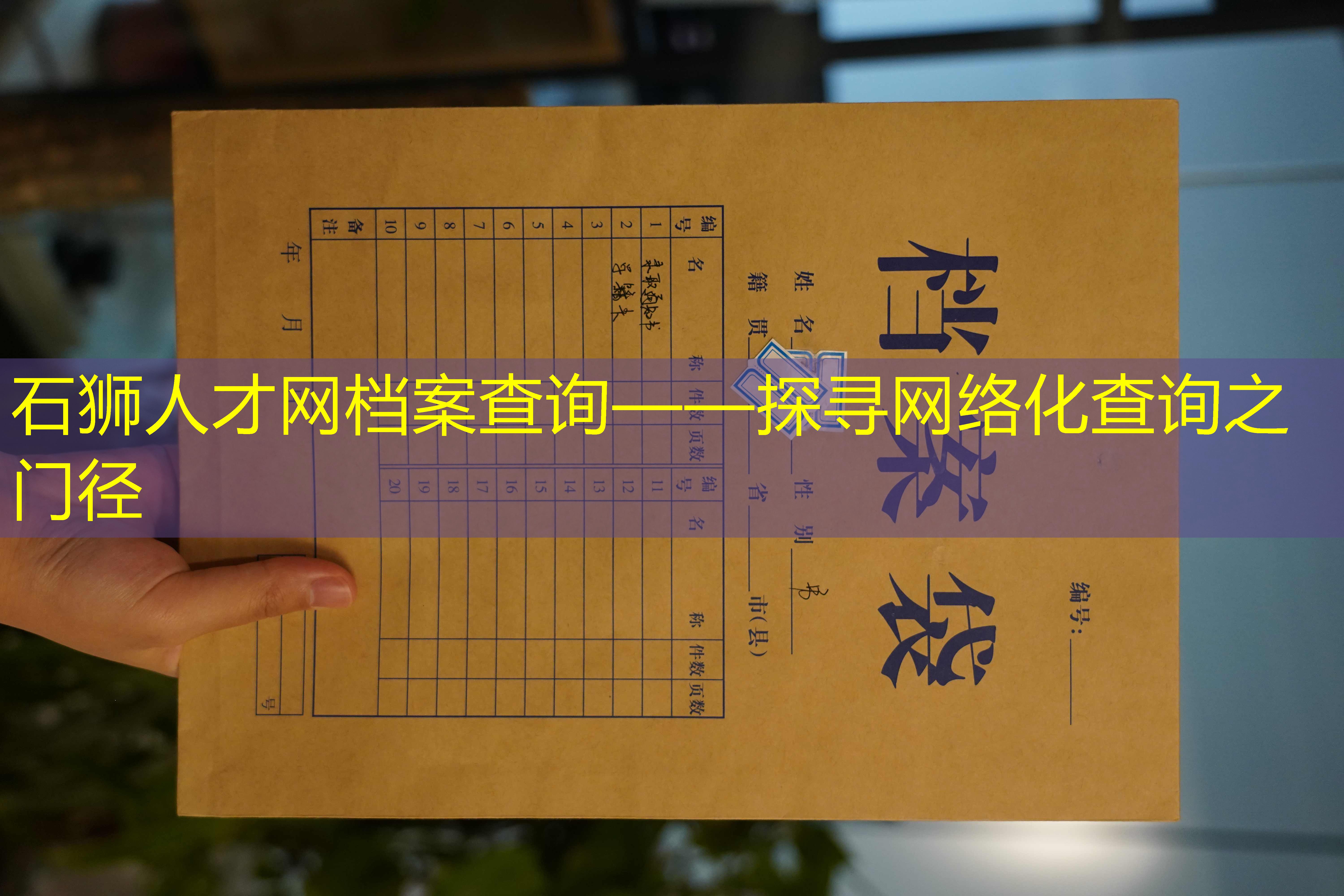档案查询