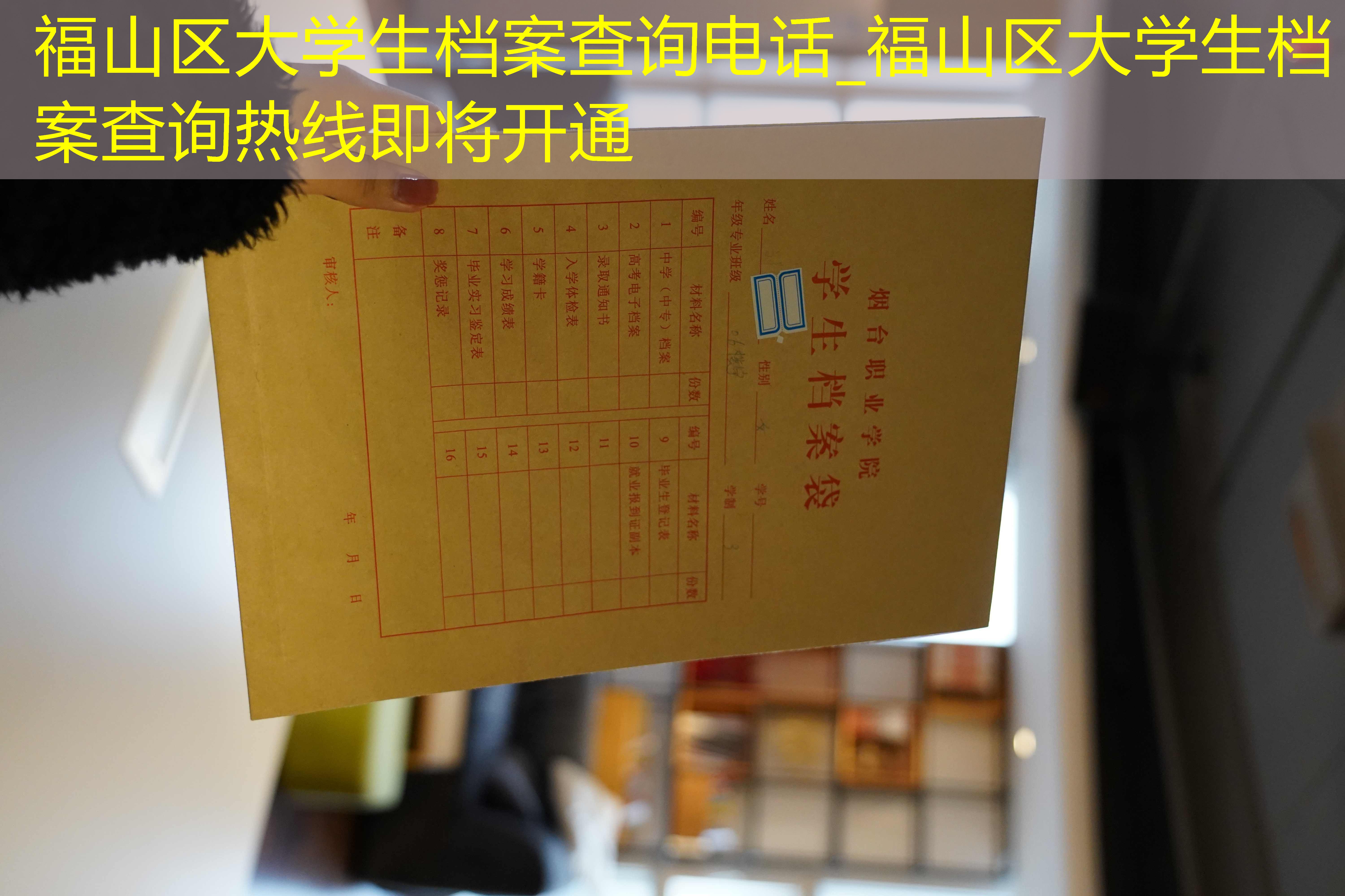 档案查询