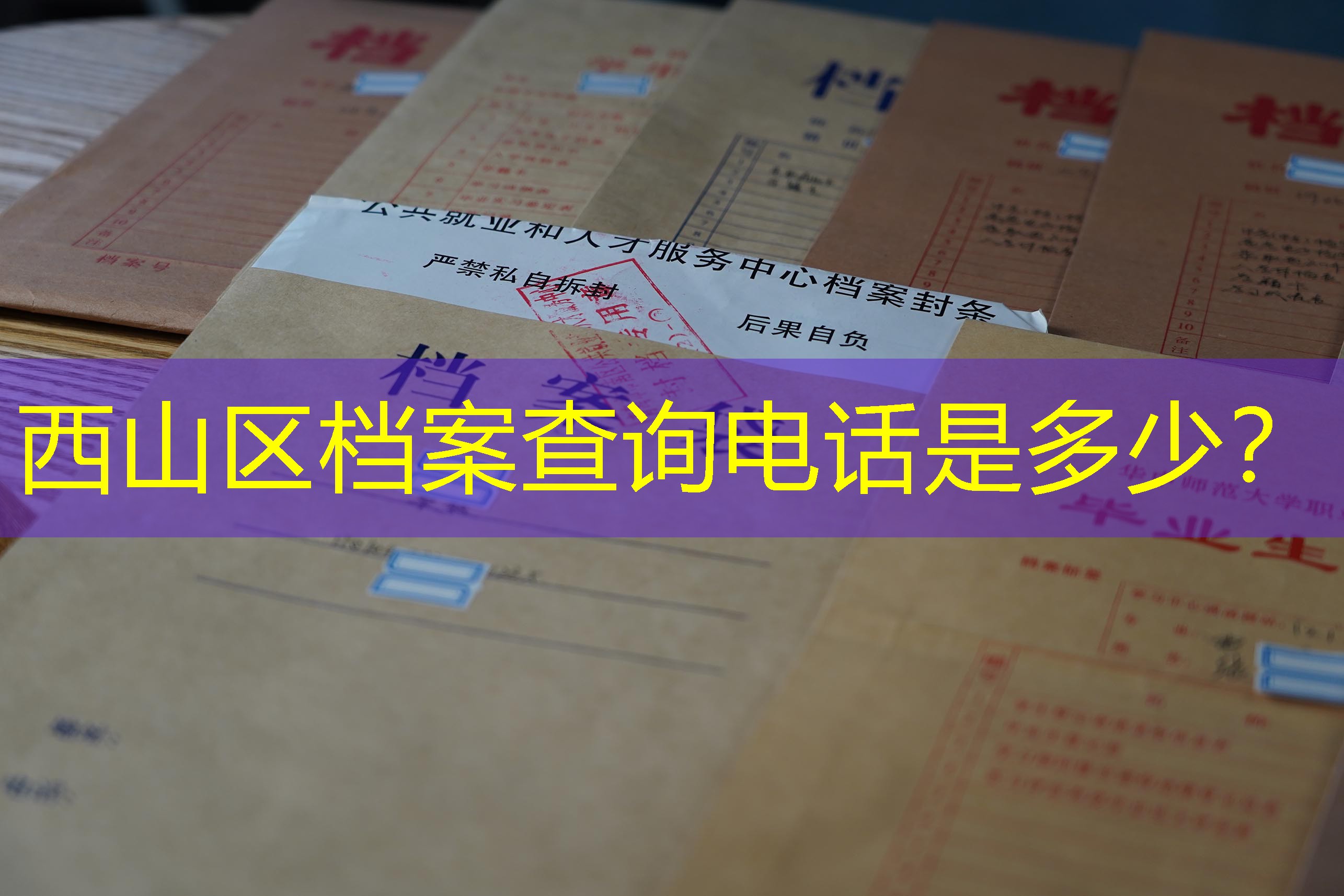 档案查询