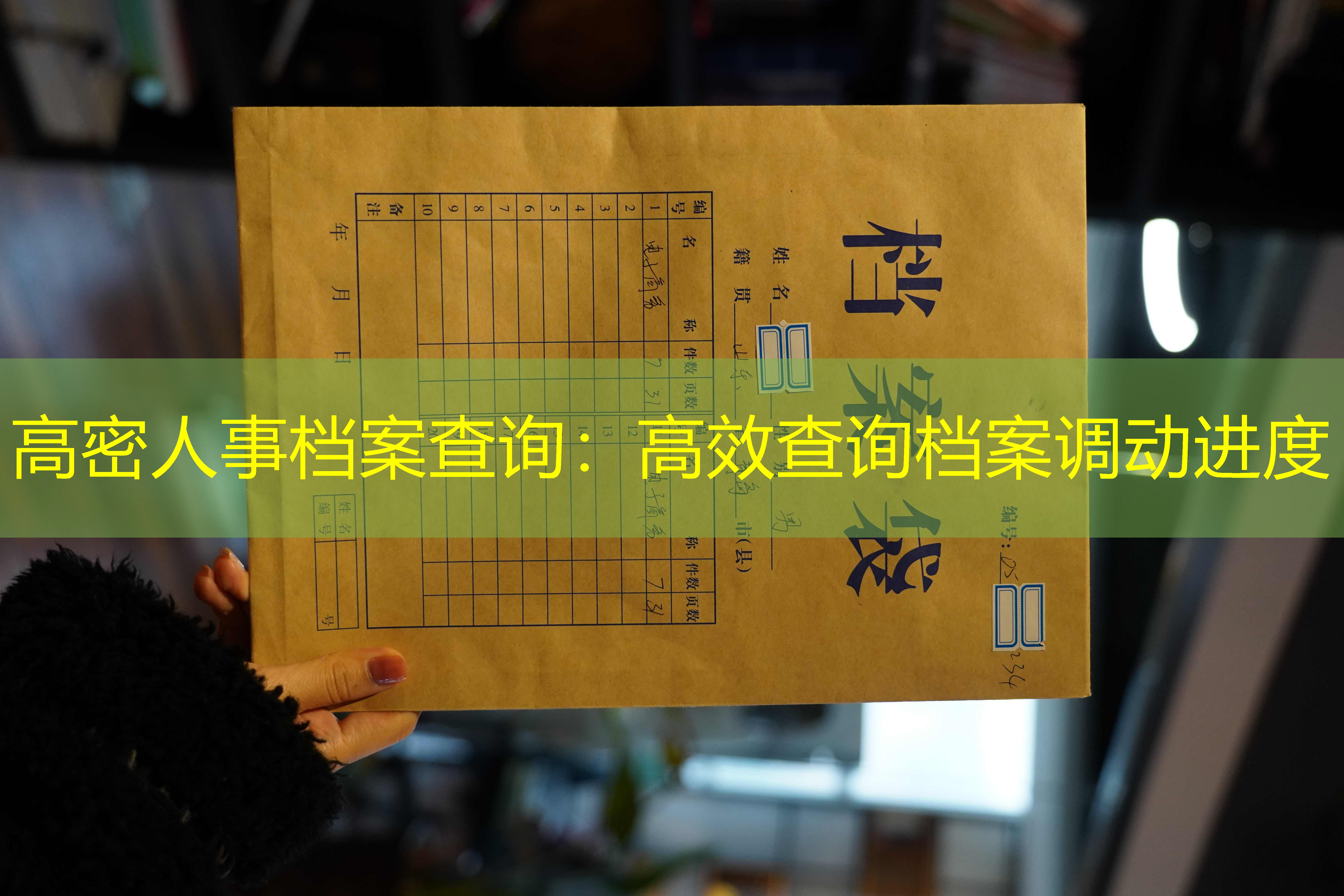 档案查询