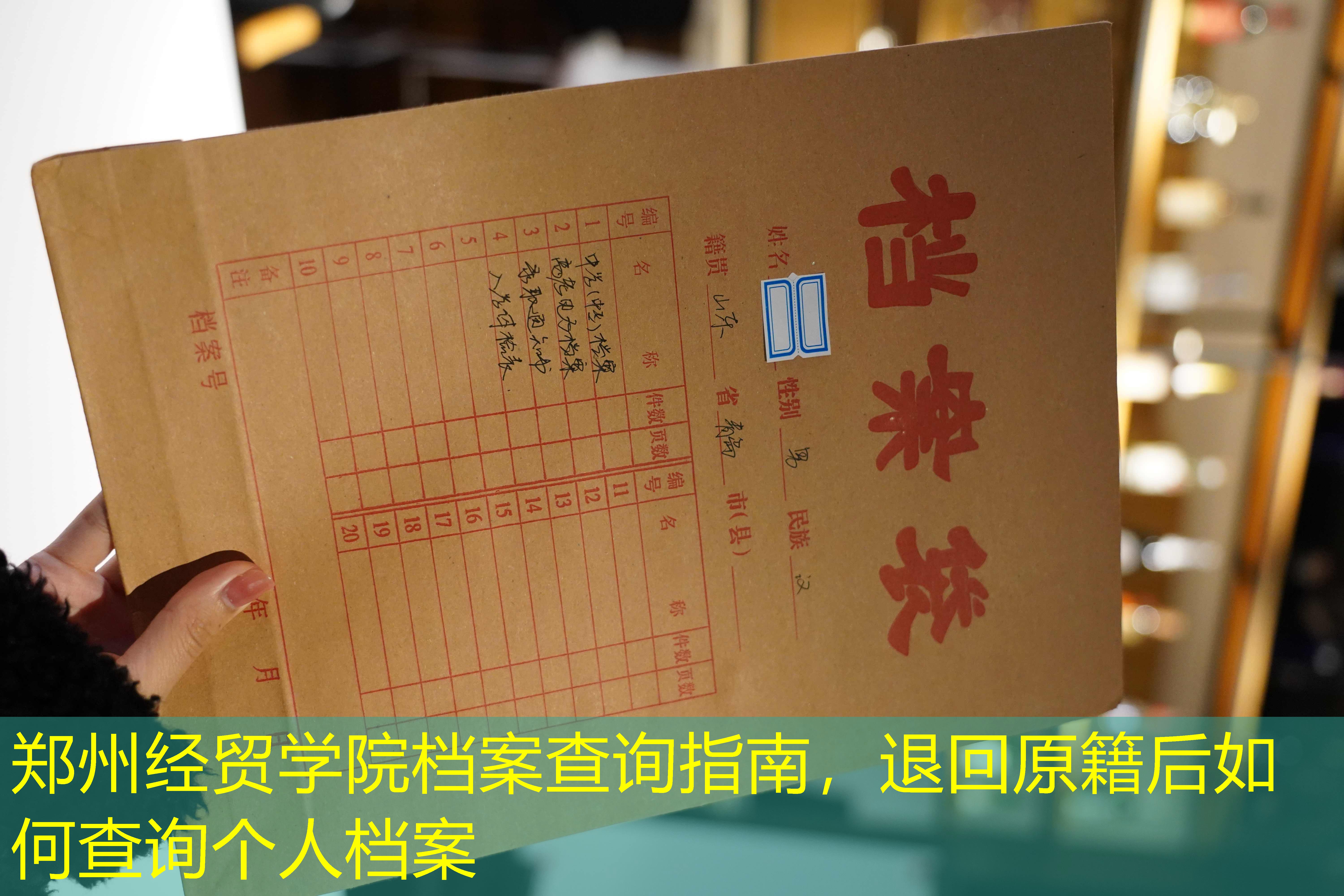 档案查询