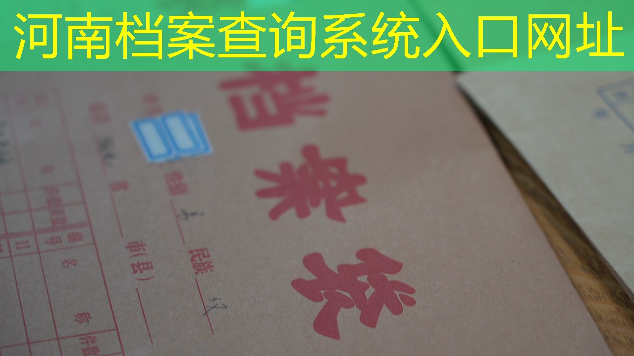 档案查询