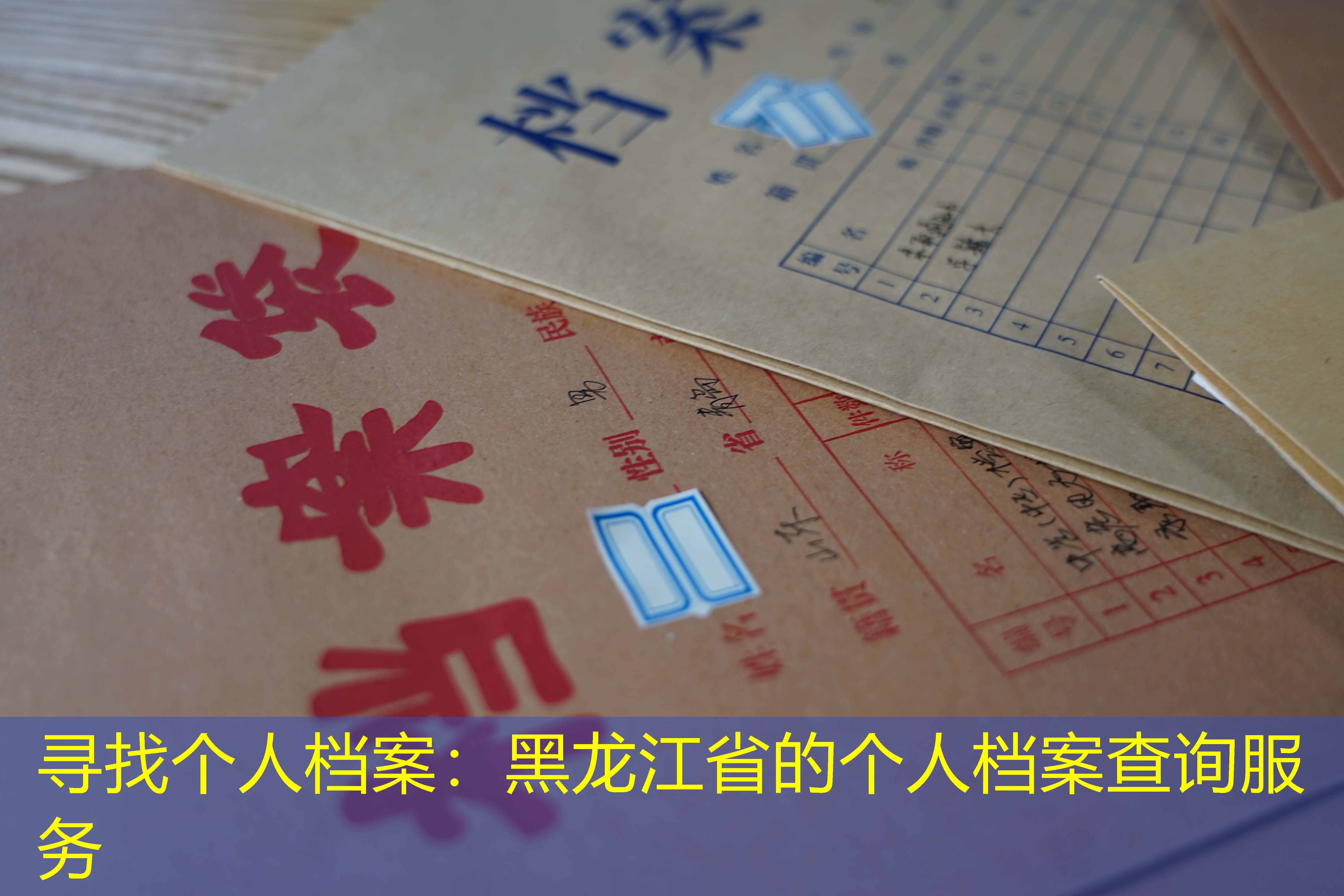 档案查询