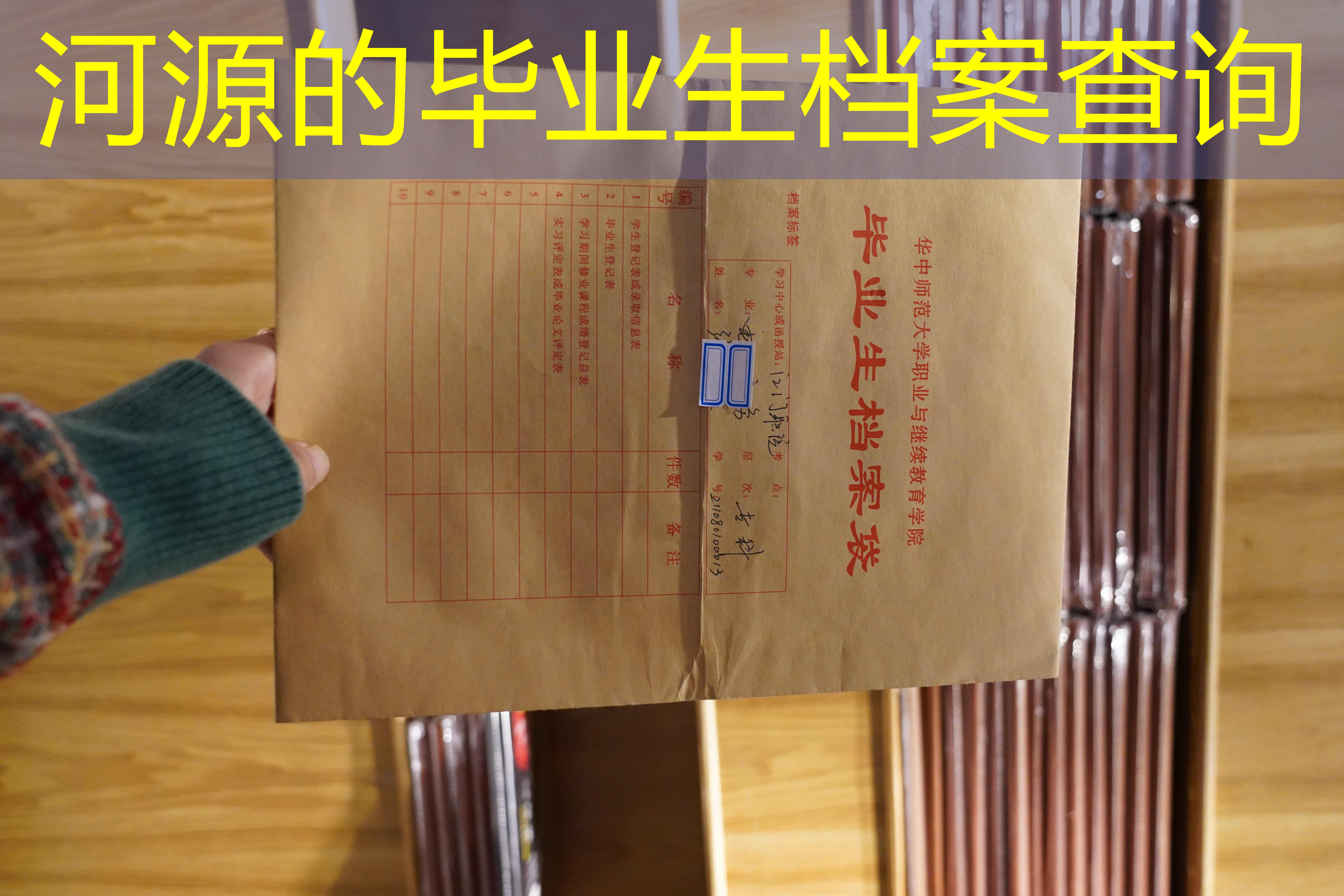 档案查询