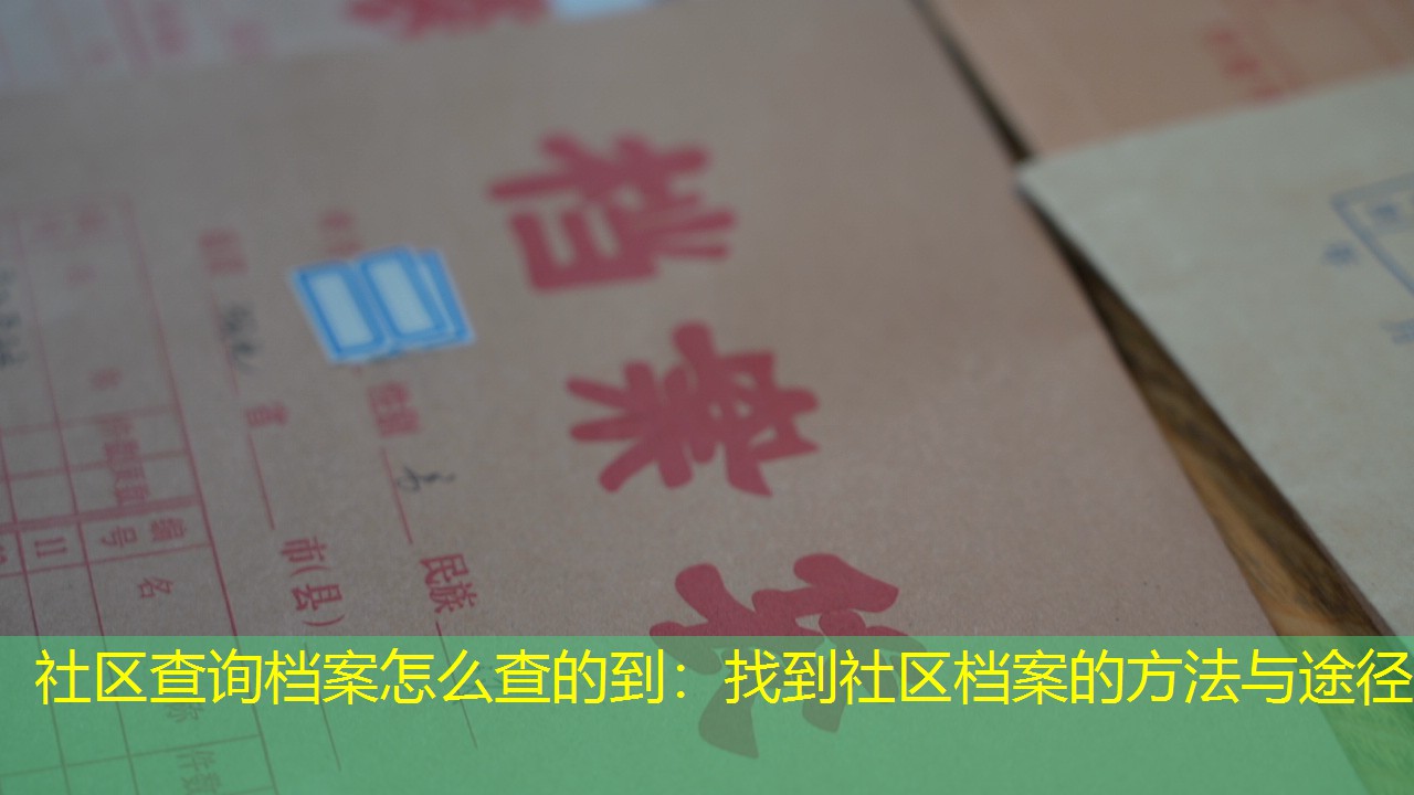 档案查询