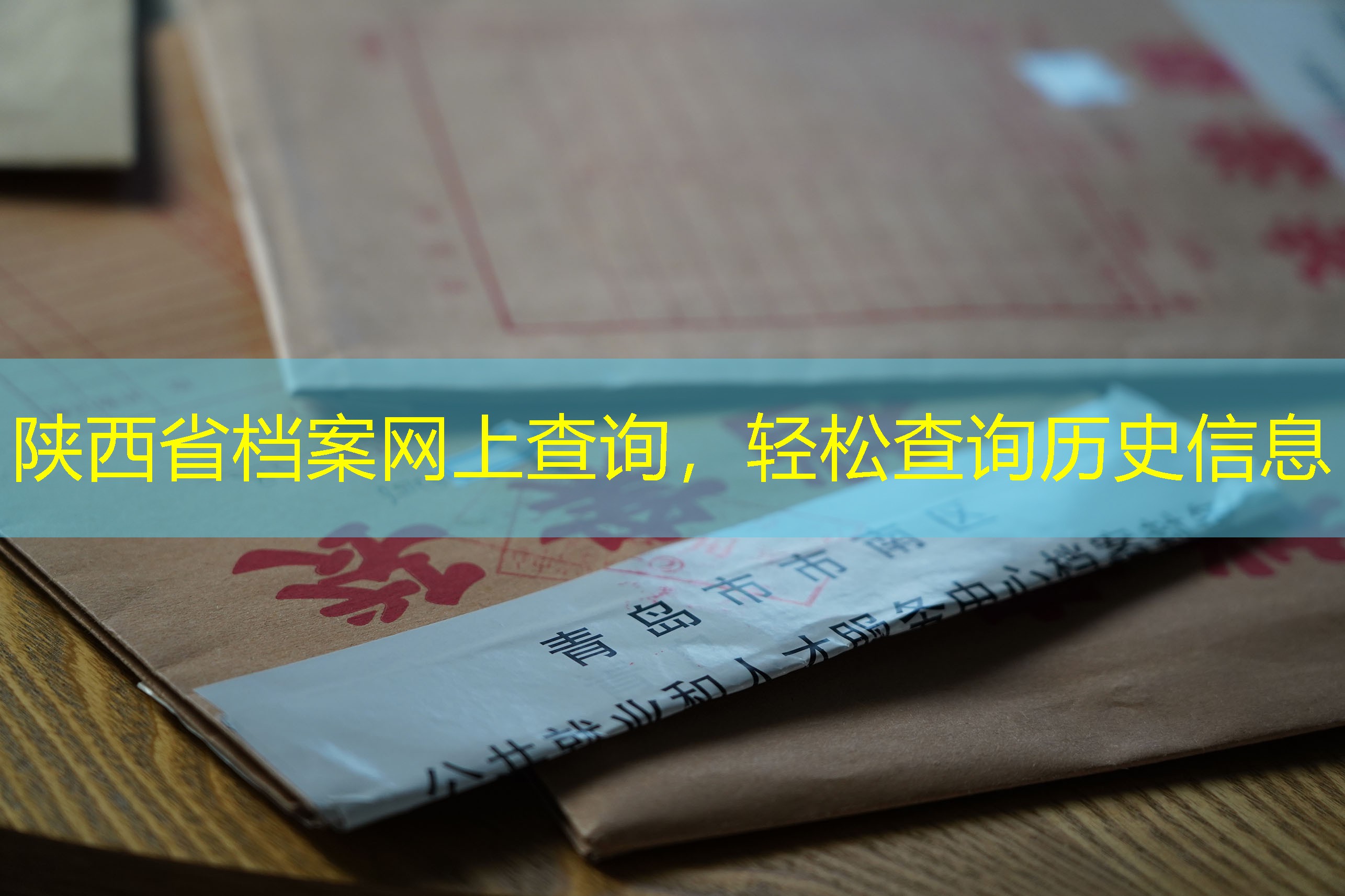 档案查询