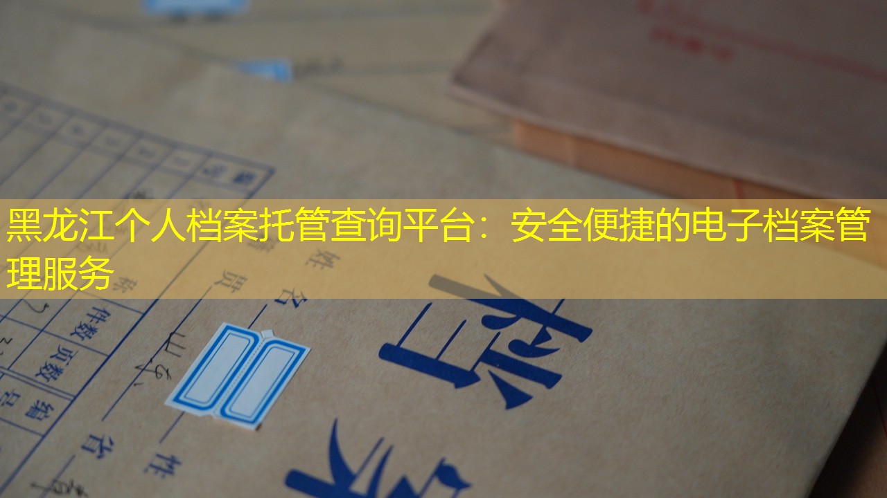 档案查询