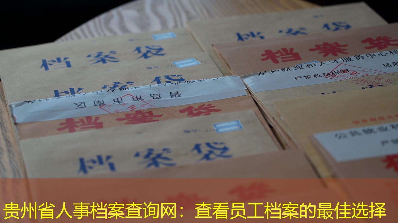 档案查询