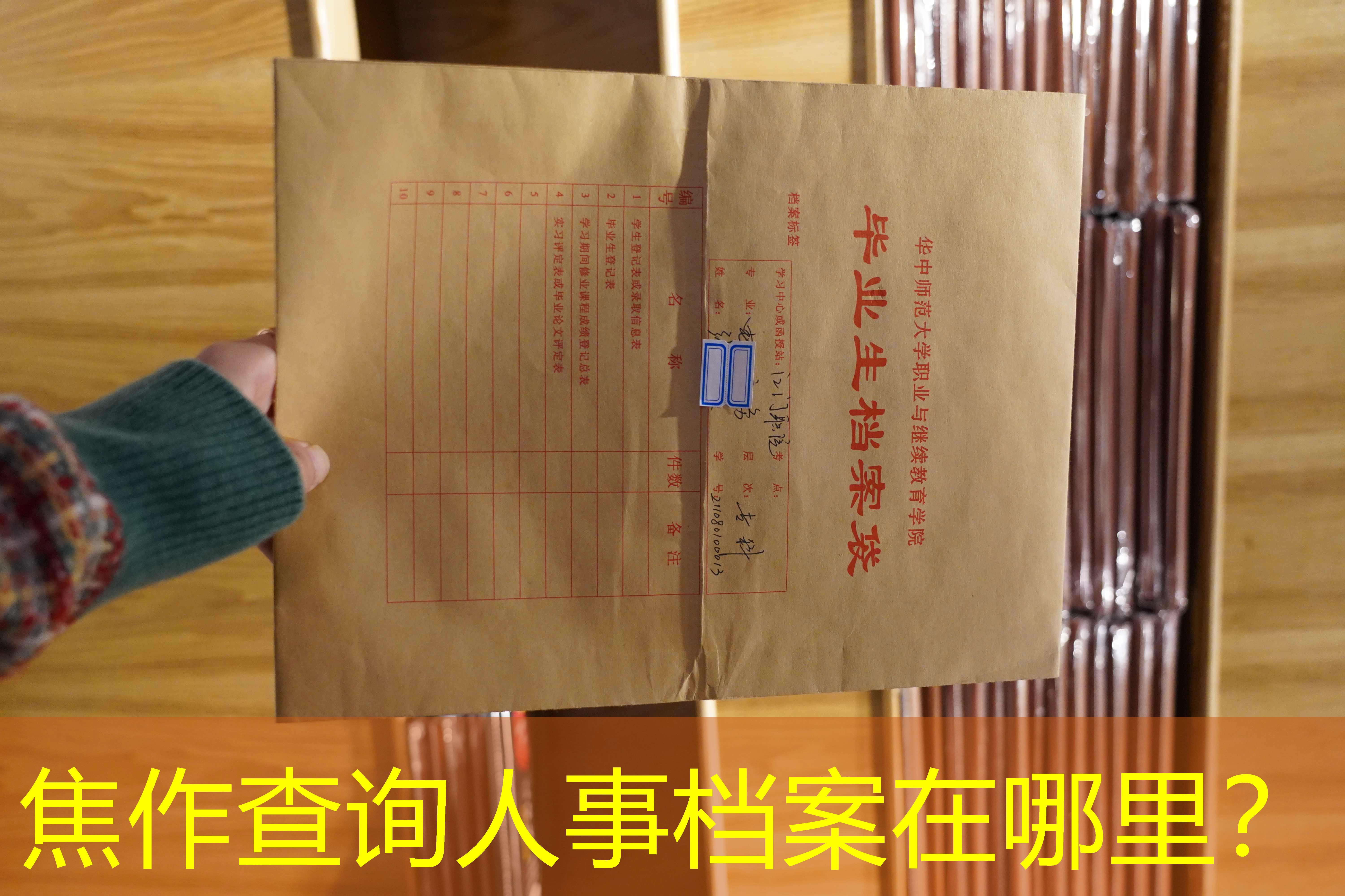 档案查询