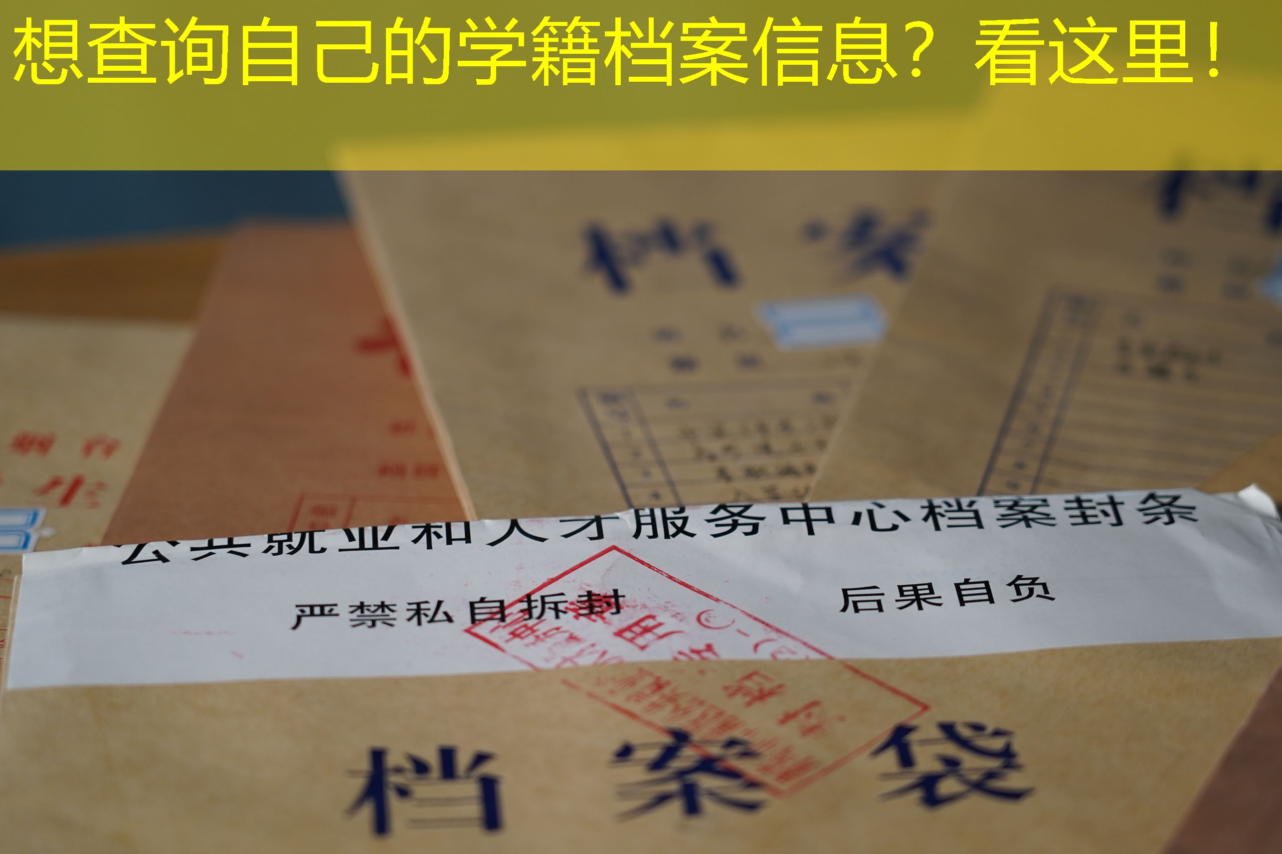 档案查询