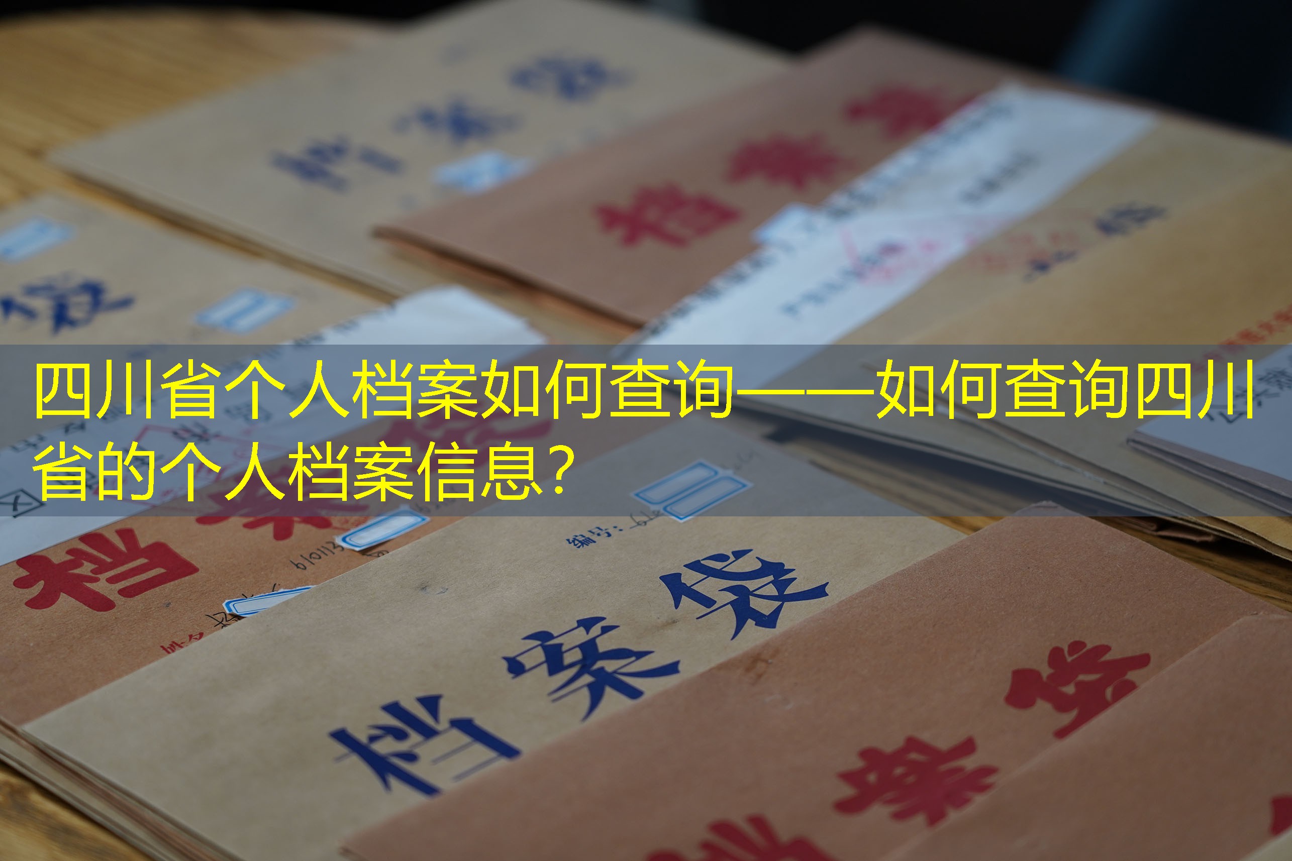 档案查询