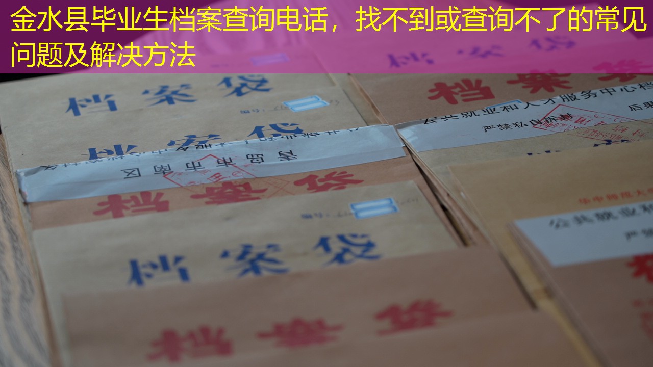 档案查询