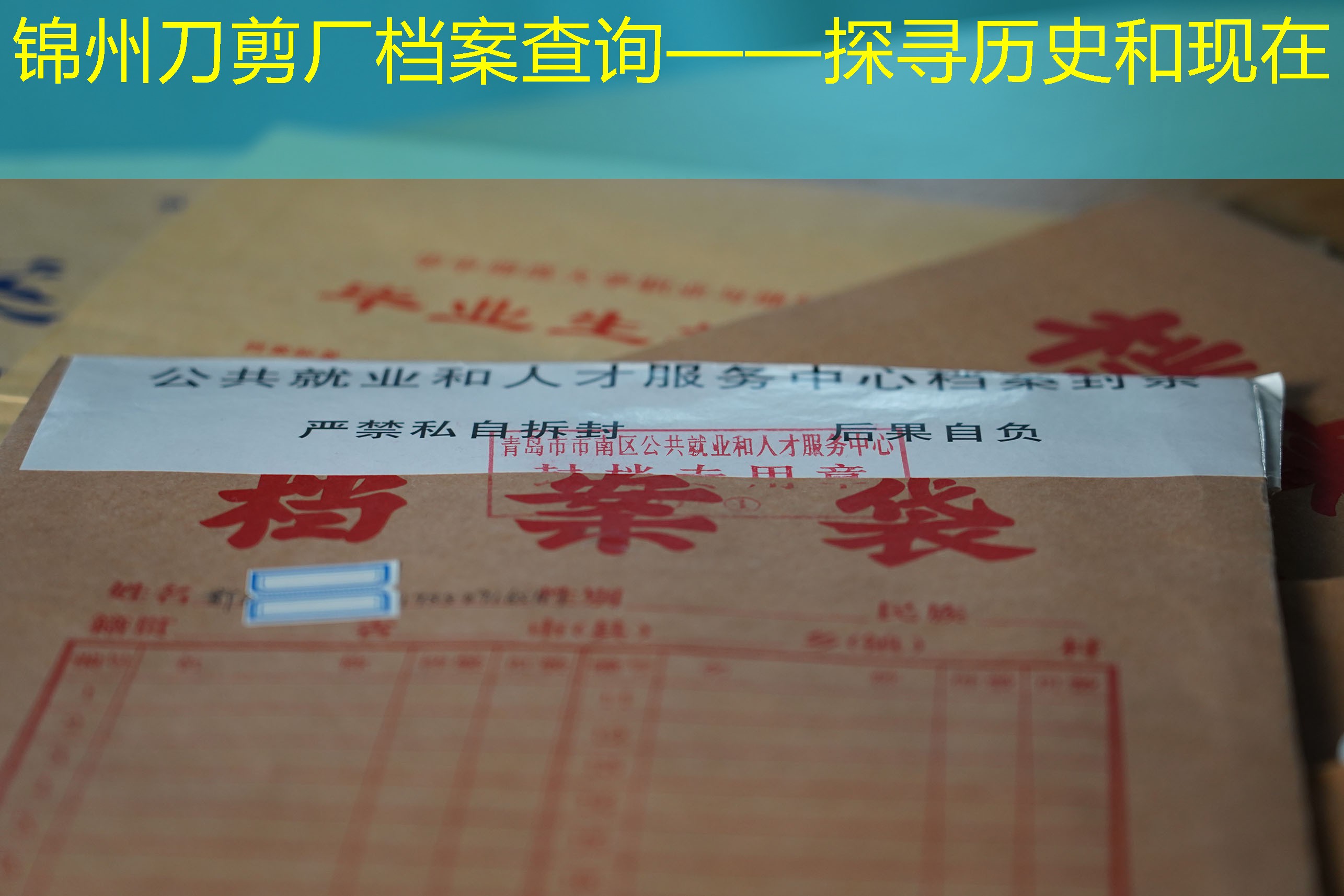 档案查询