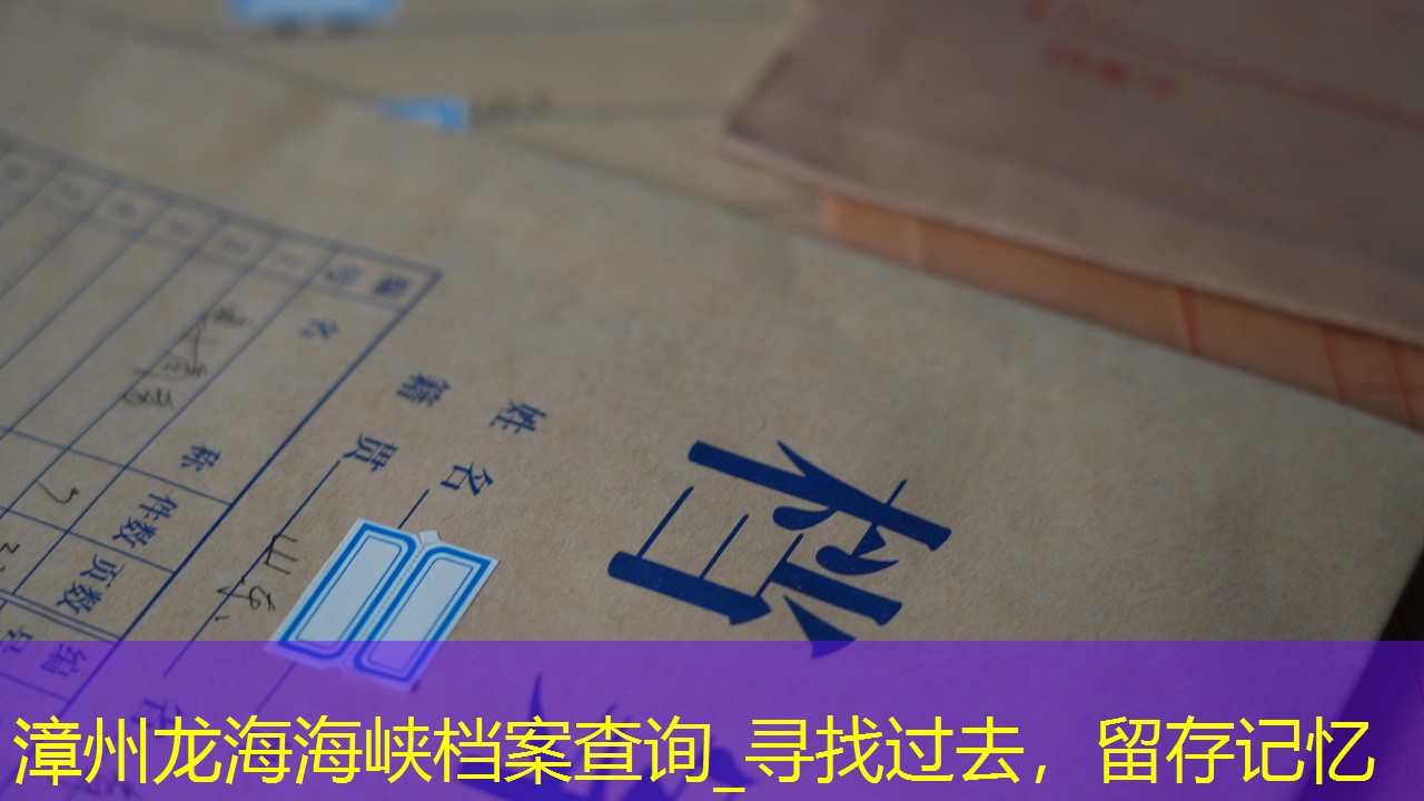 档案查询