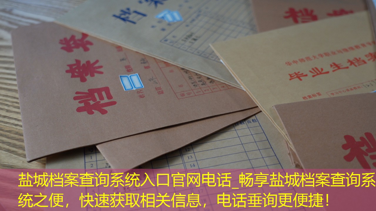 档案查询