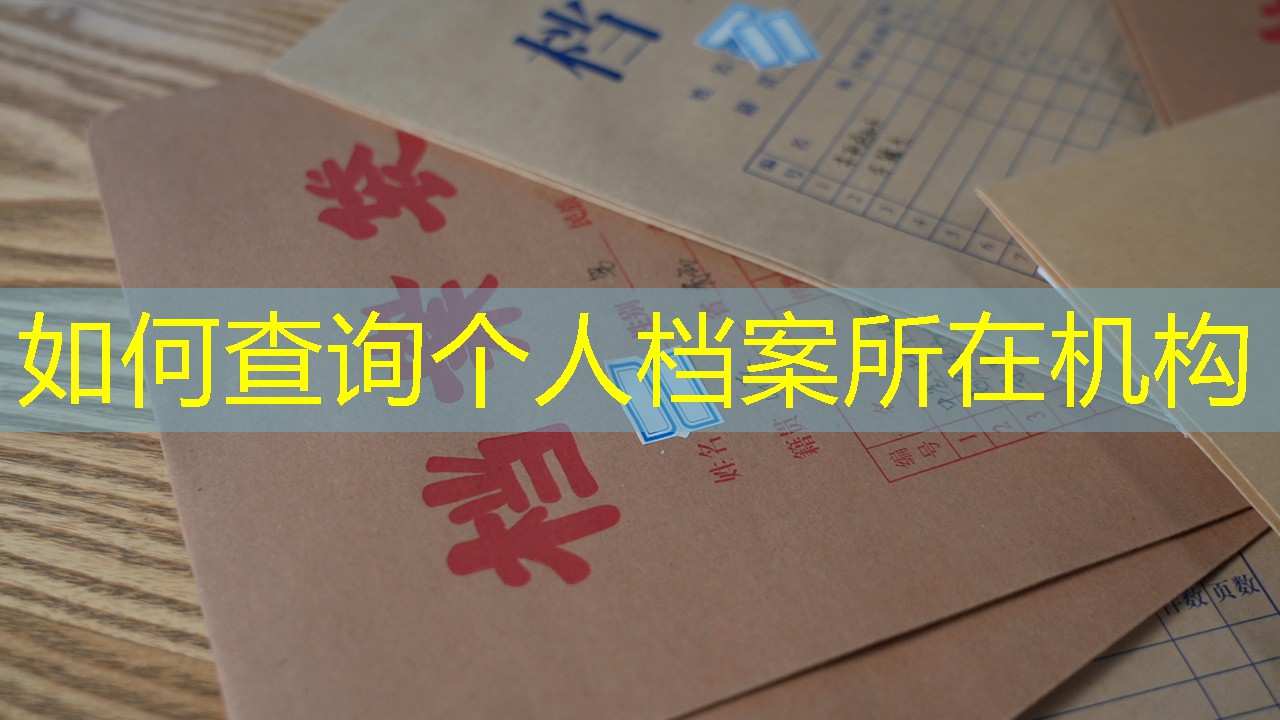 档案查询