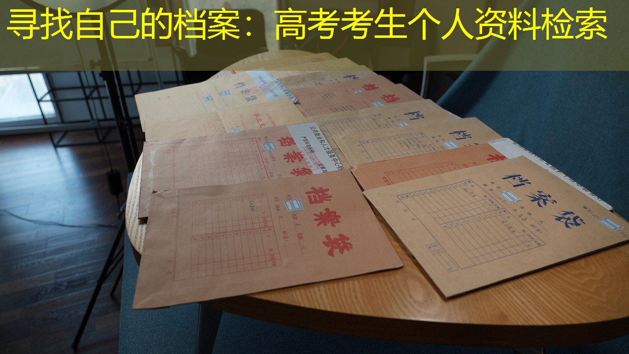 档案查询