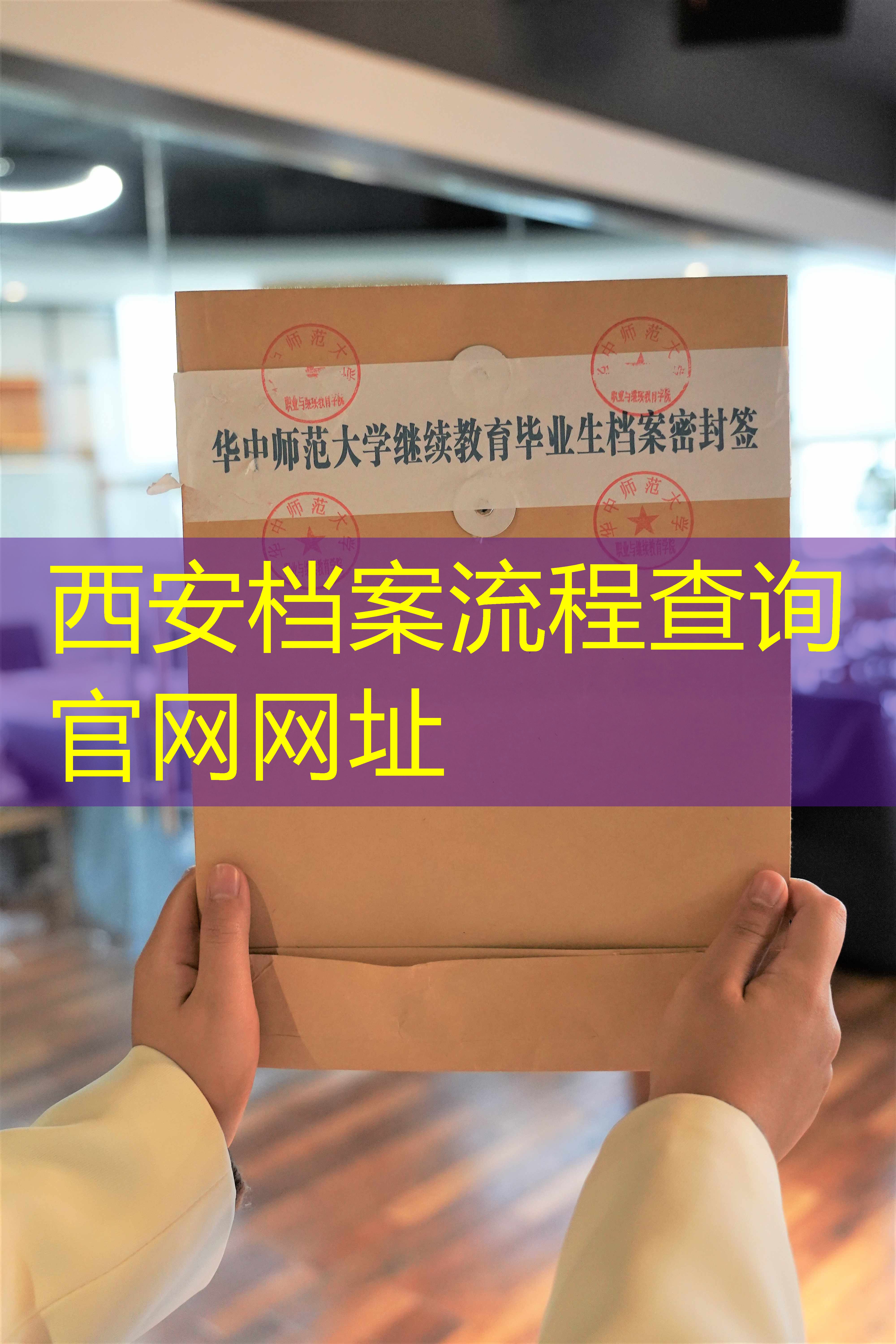 档案查询