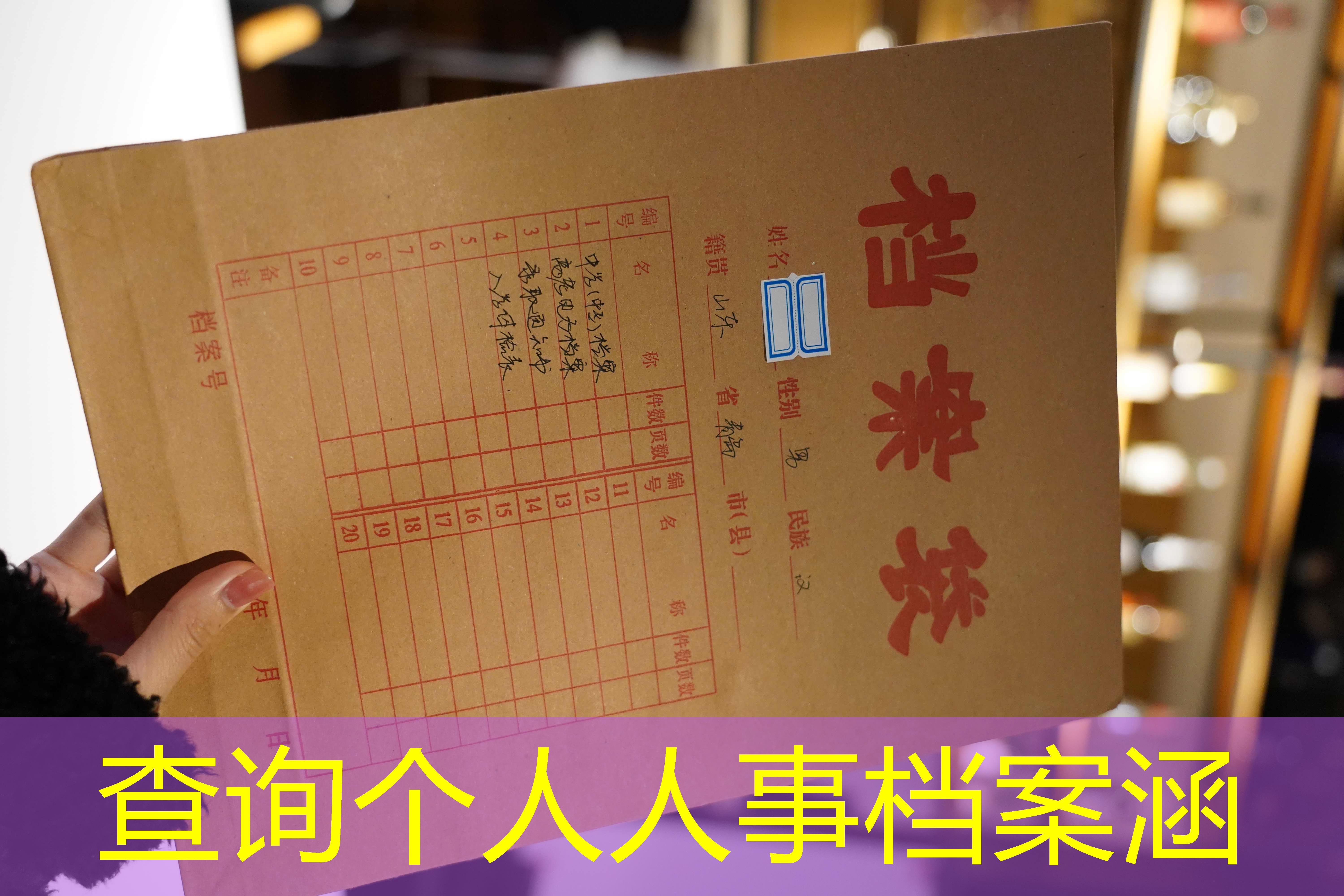 档案查询