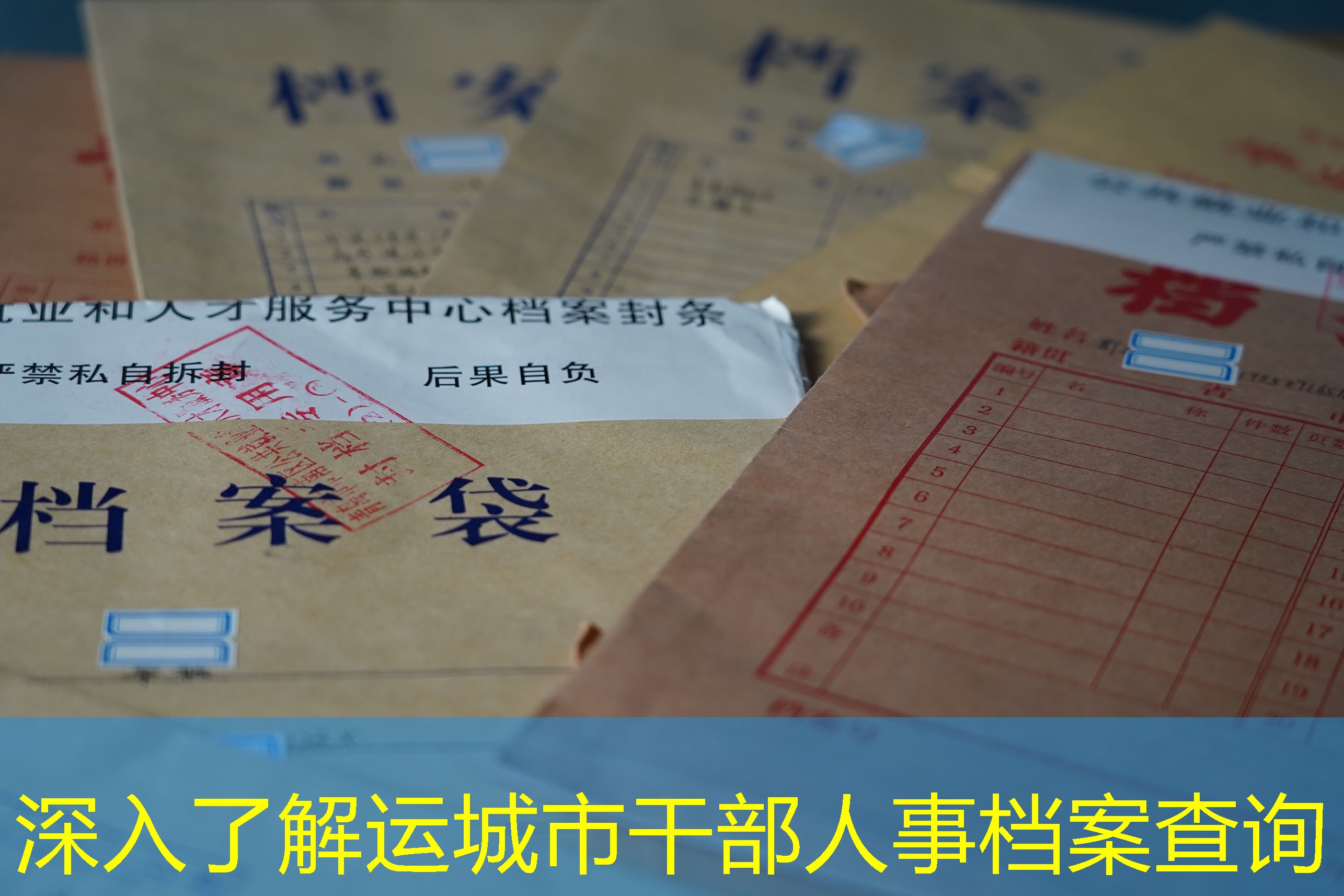 档案查询