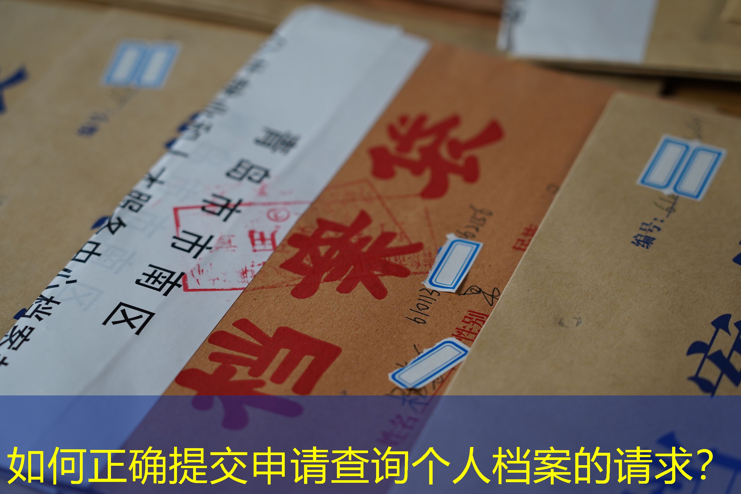 档案查询