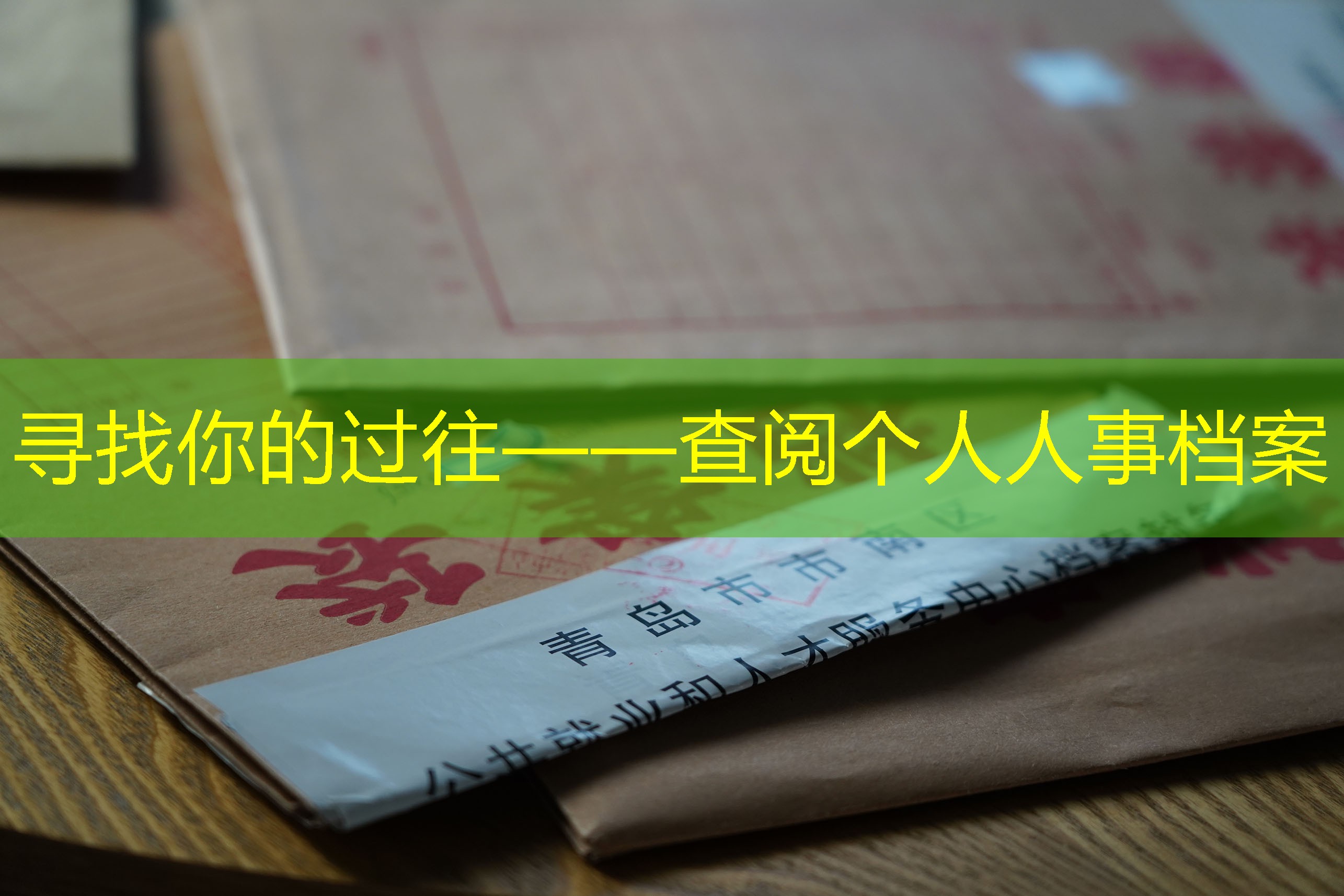 档案查询