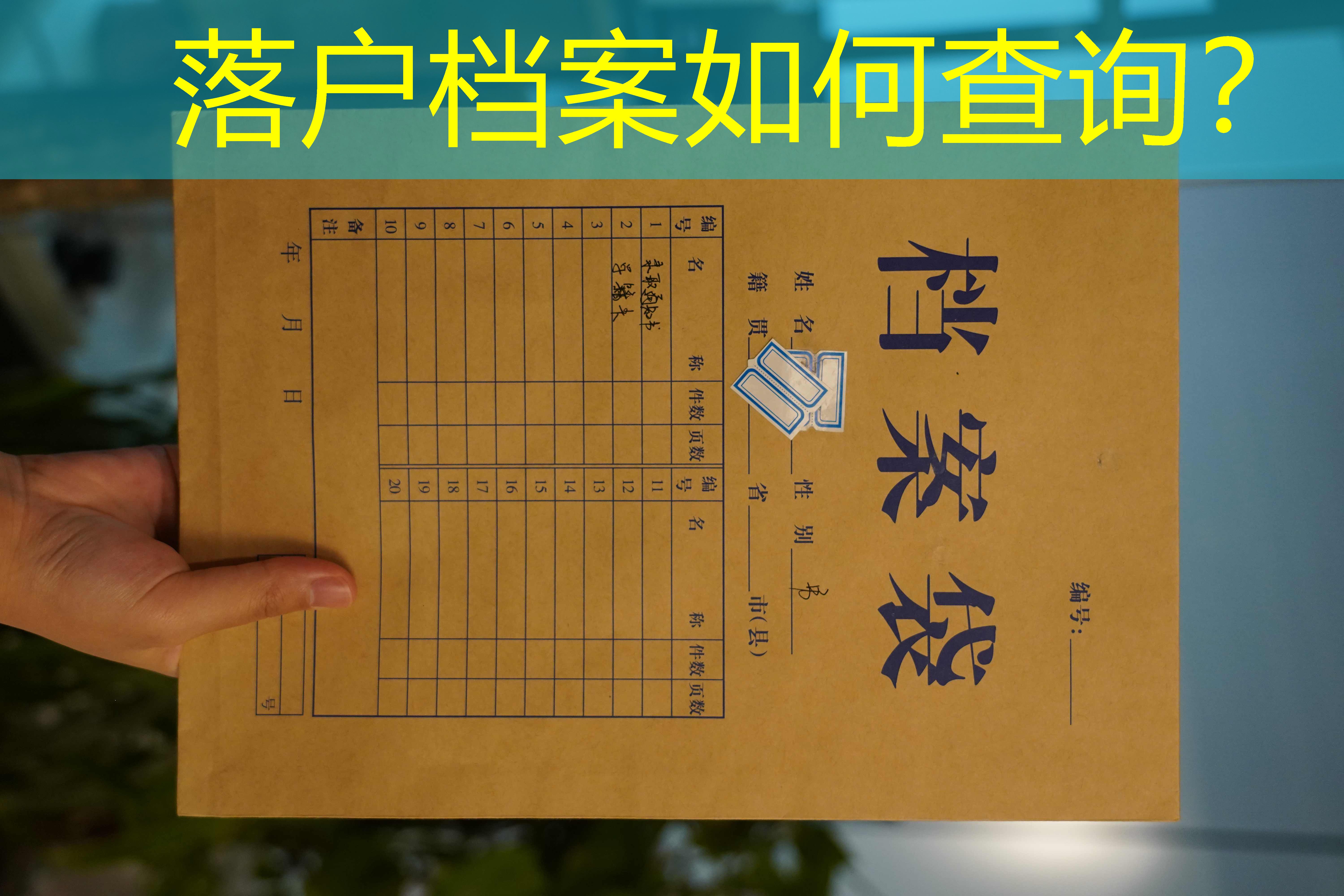档案查询