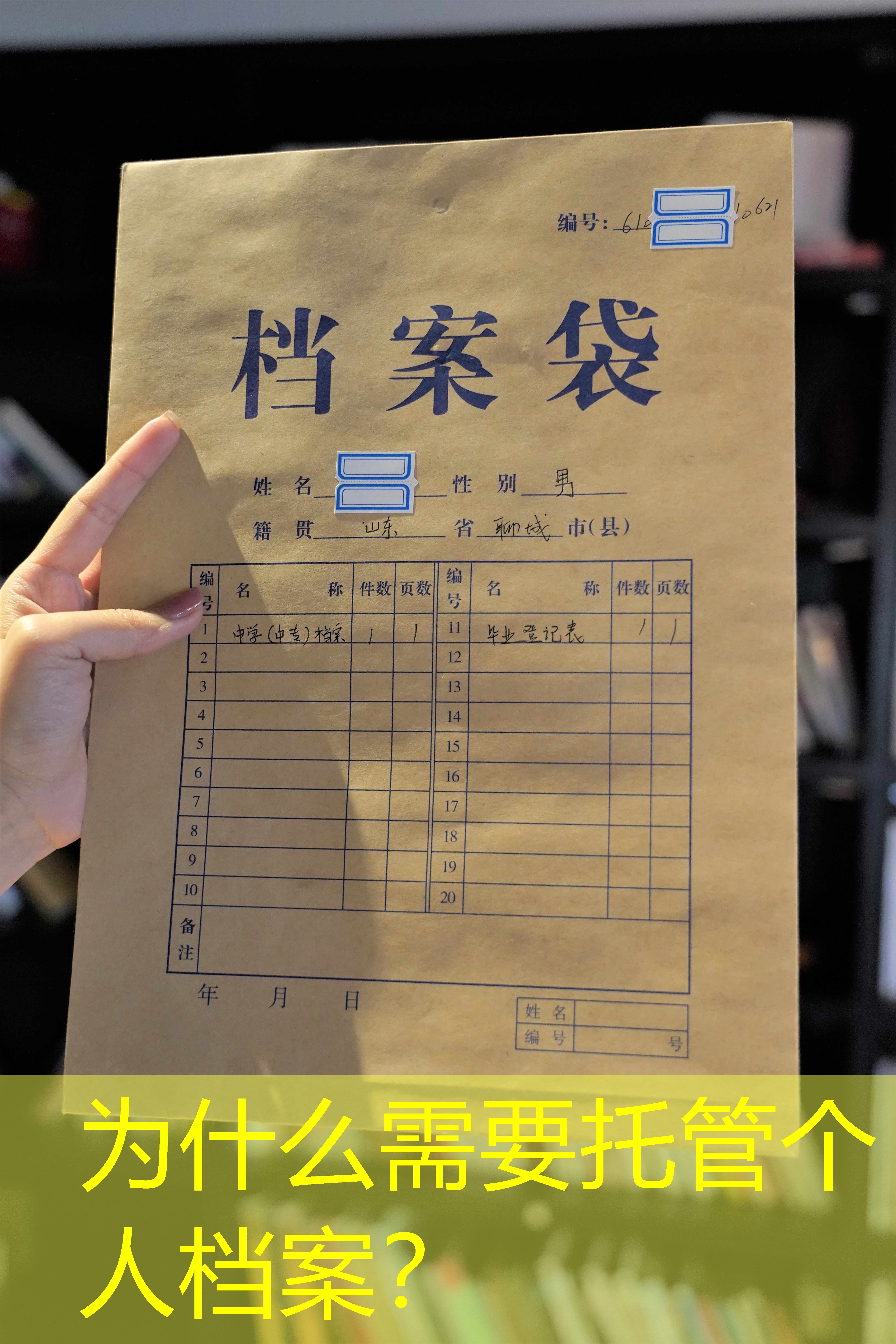 档案查询