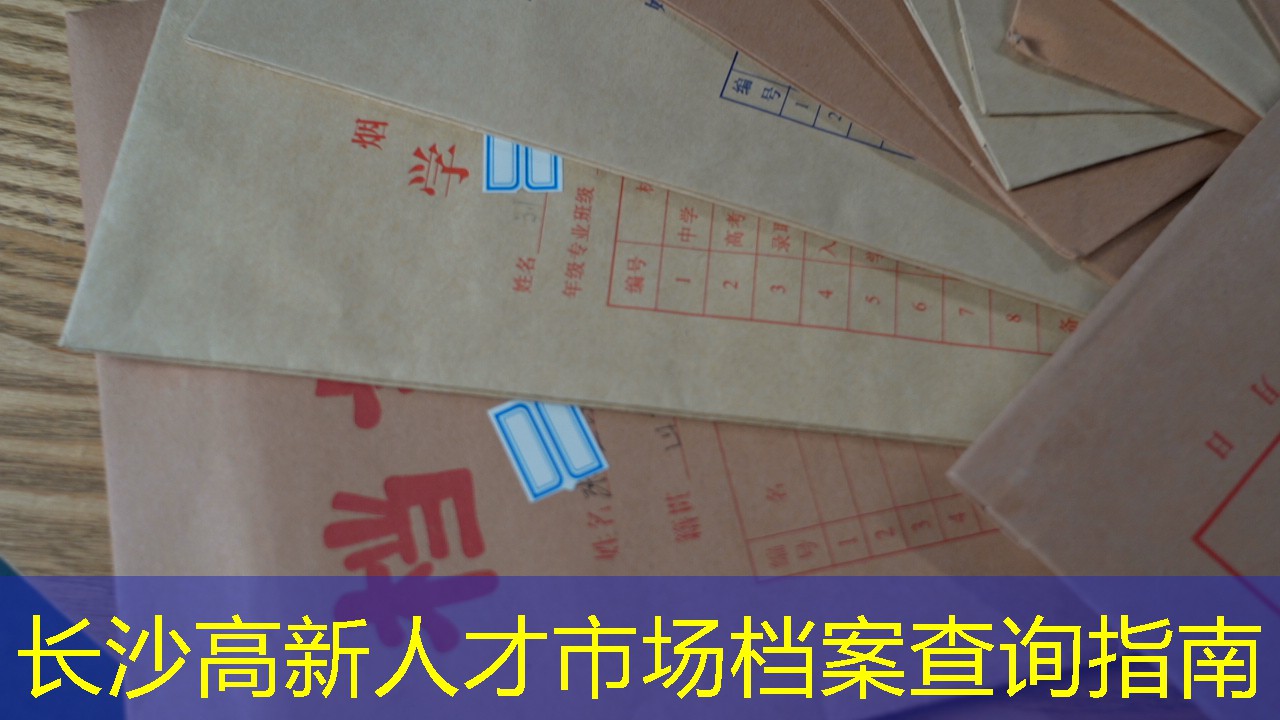 档案查询