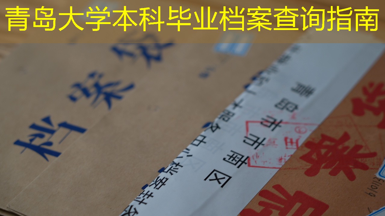 档案查询