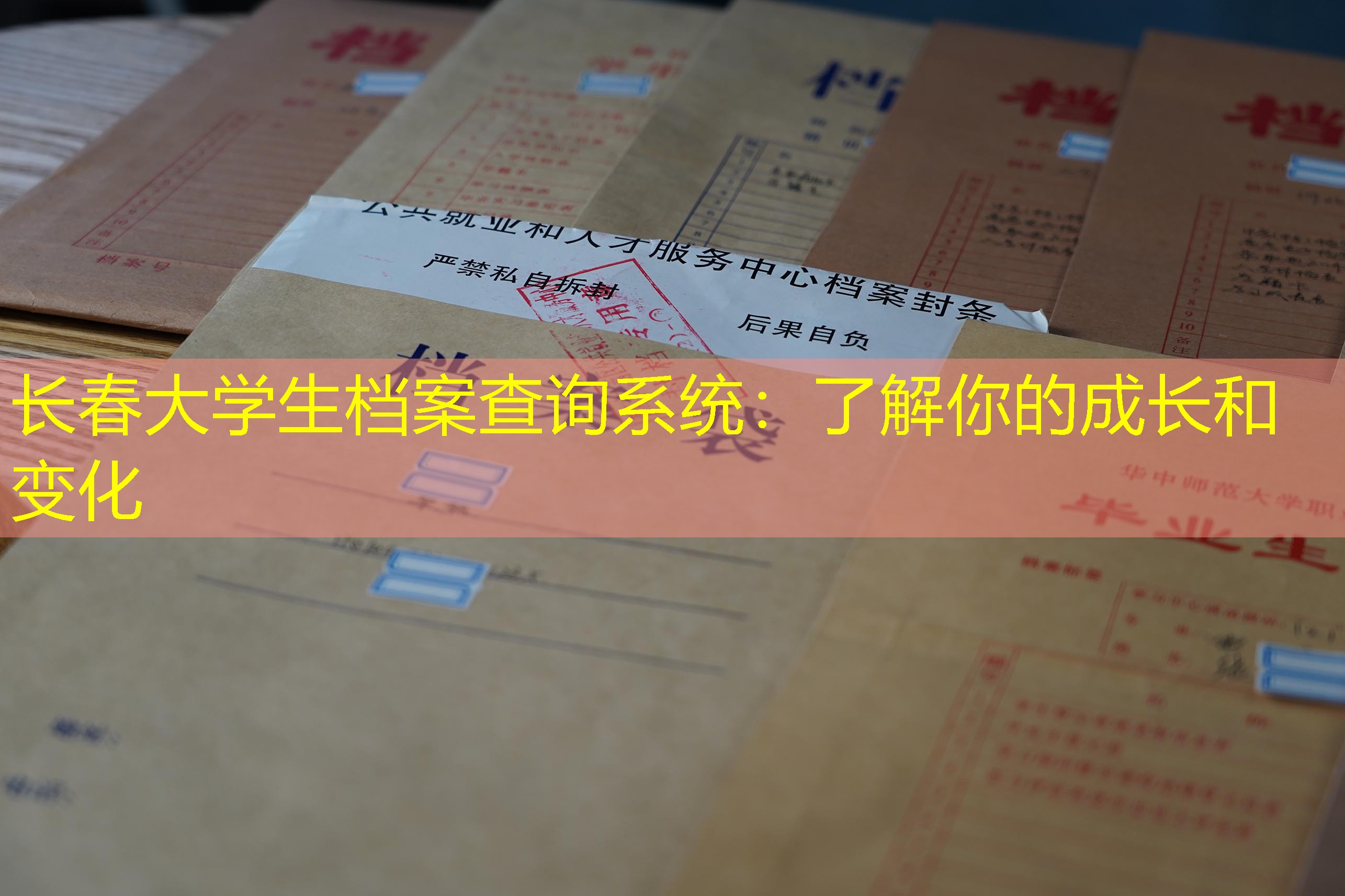 档案查询