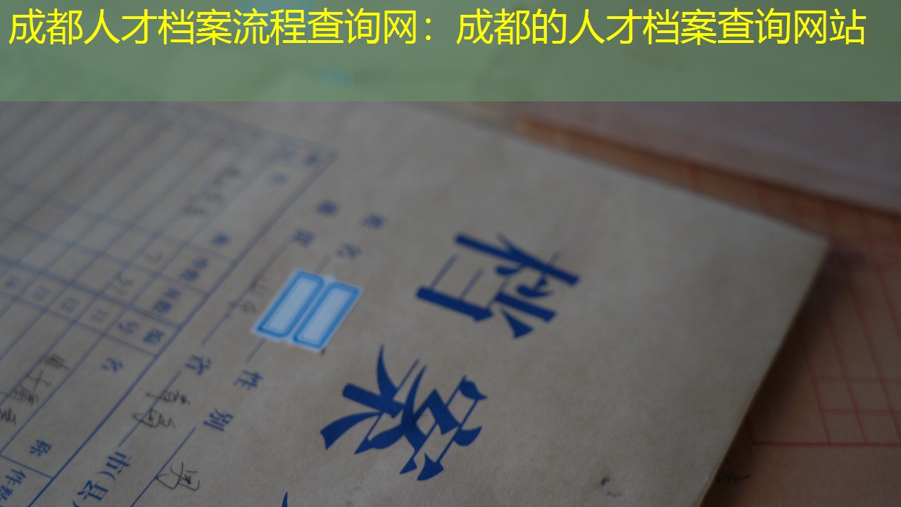 档案查询