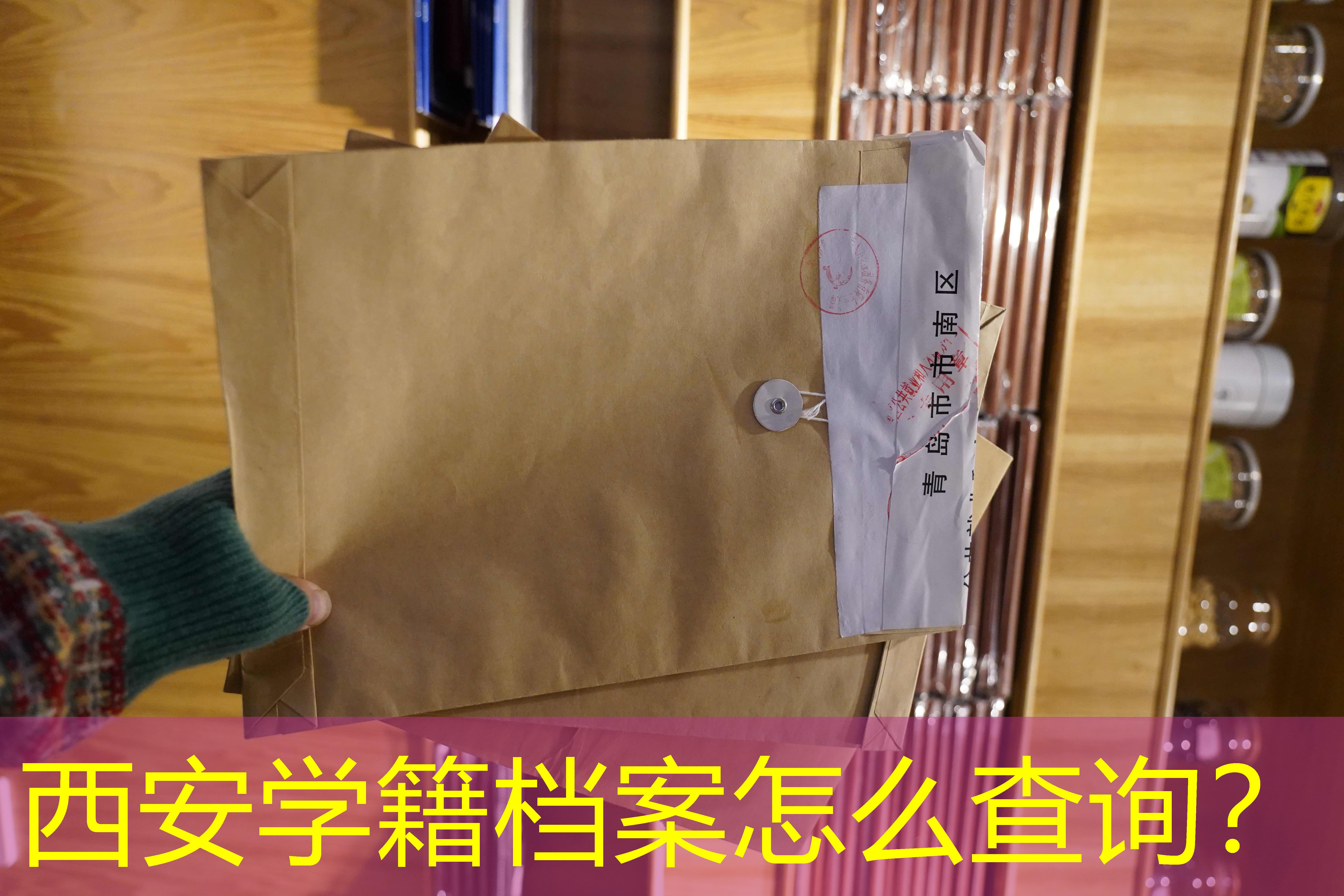 档案查询