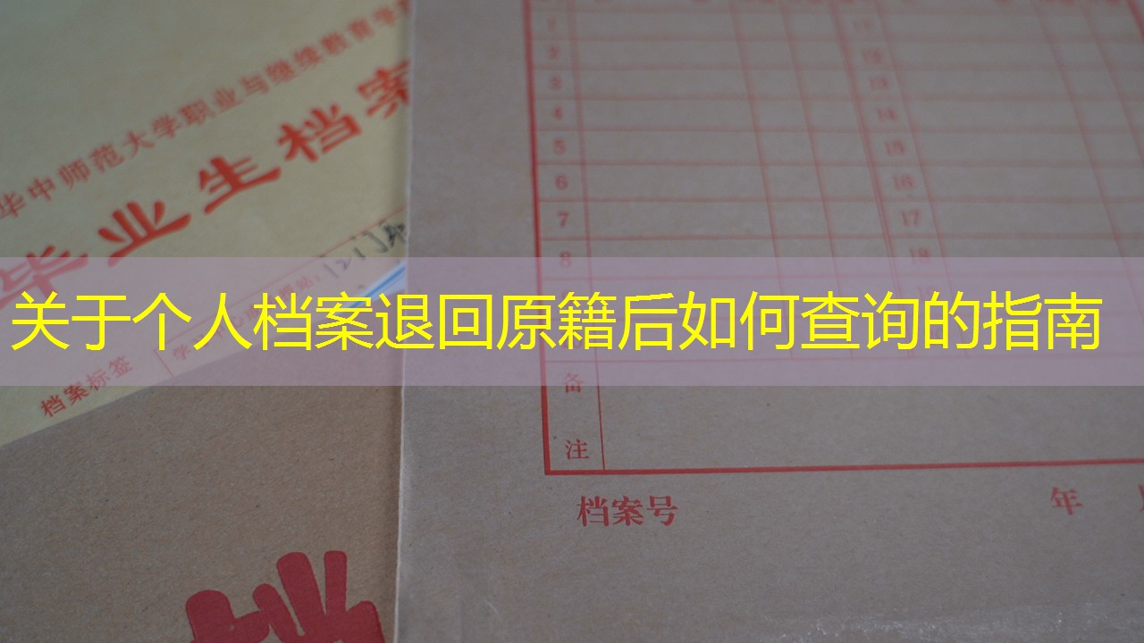 档案查询