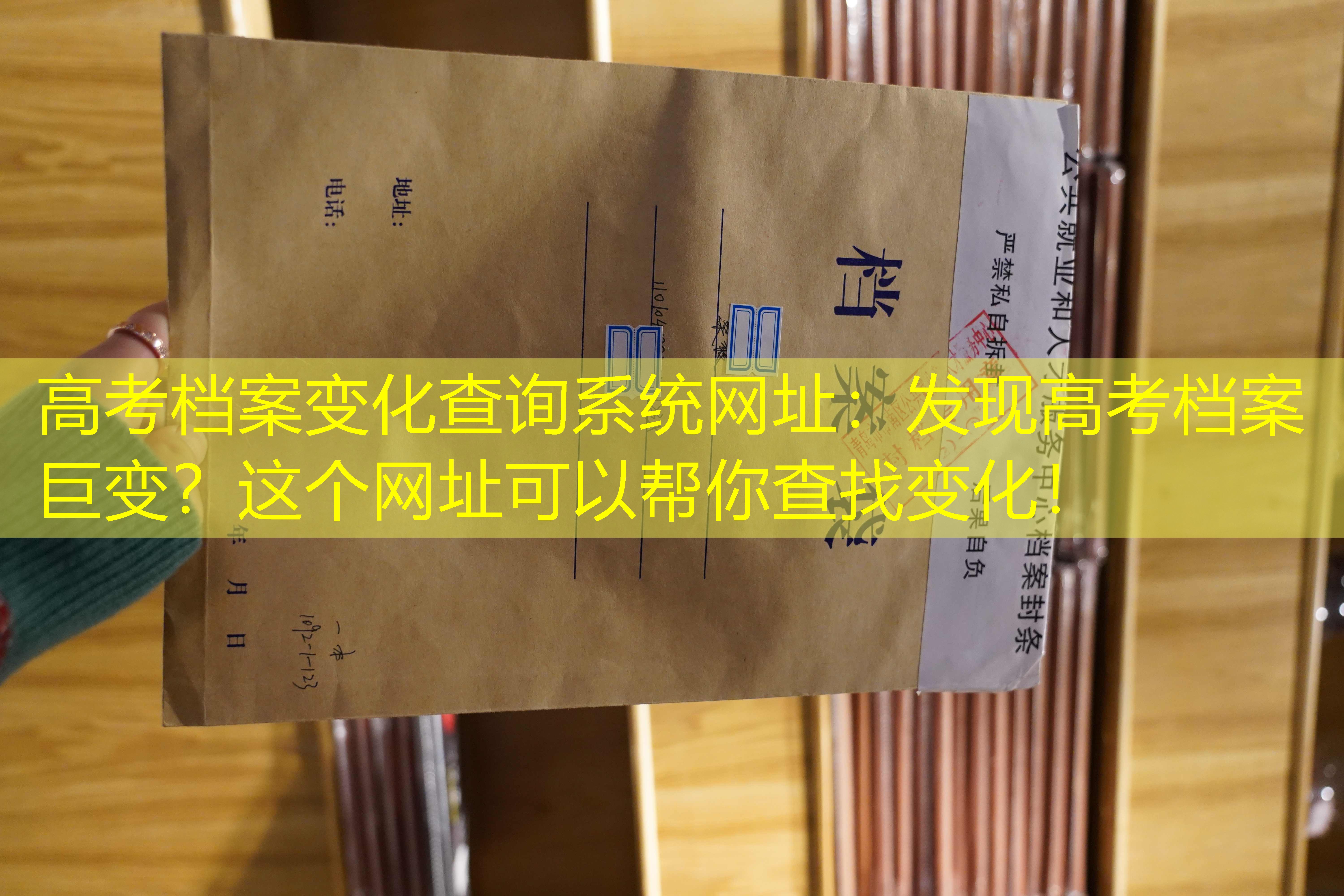 档案查询