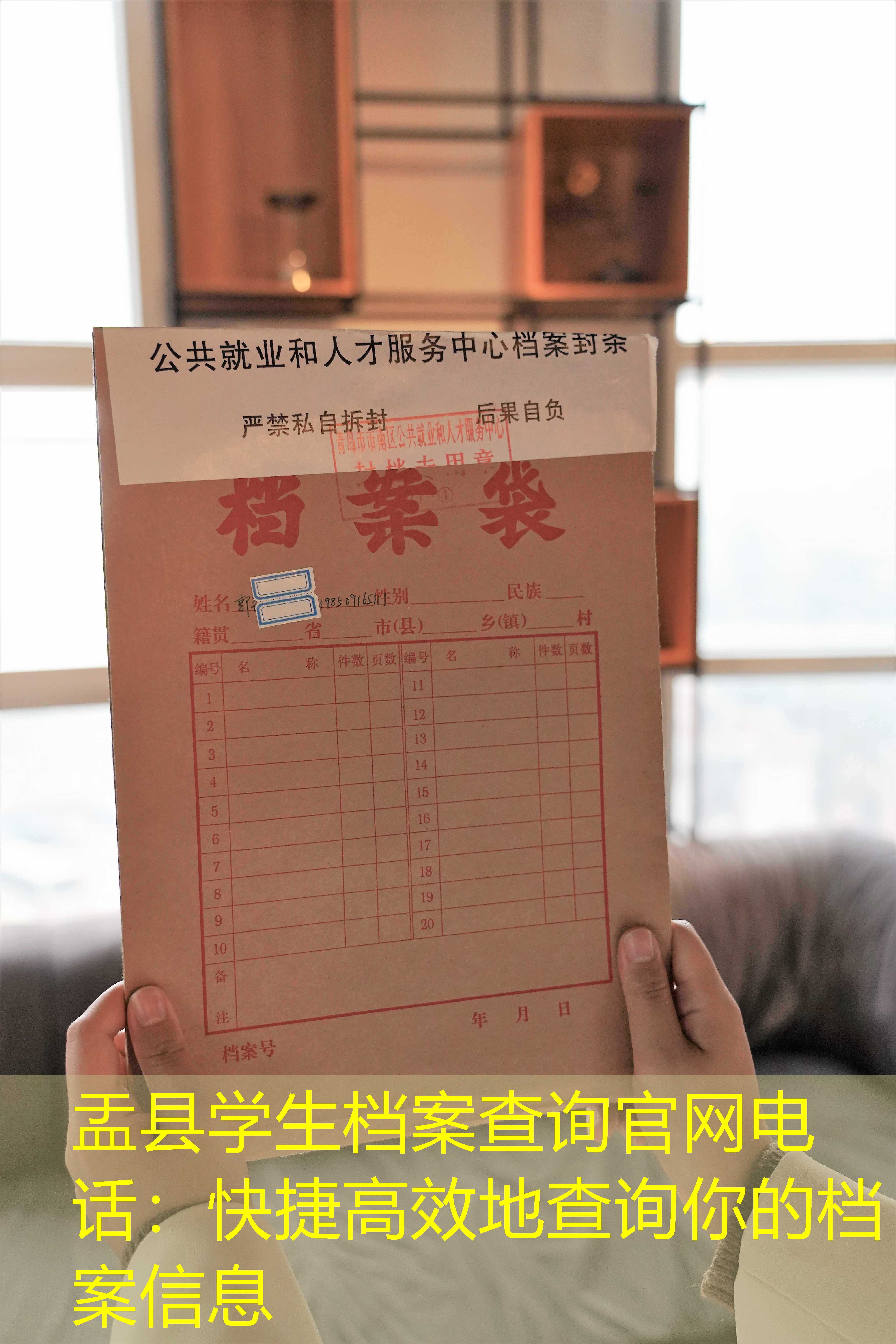 档案查询
