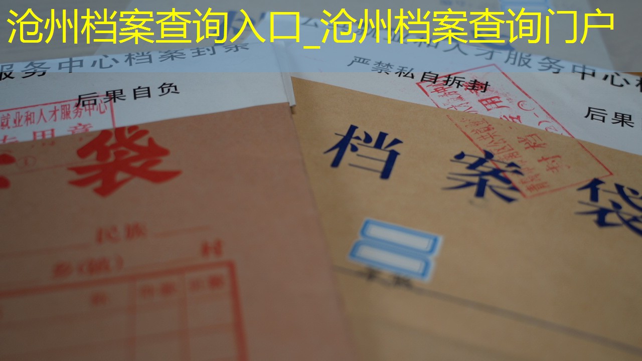 档案查询